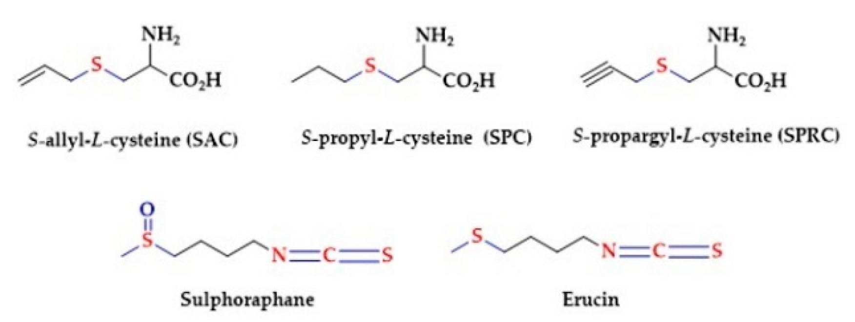 Biomolecules 10 00323 g002