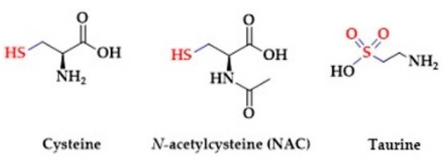 Biomolecules 10 00323 g003