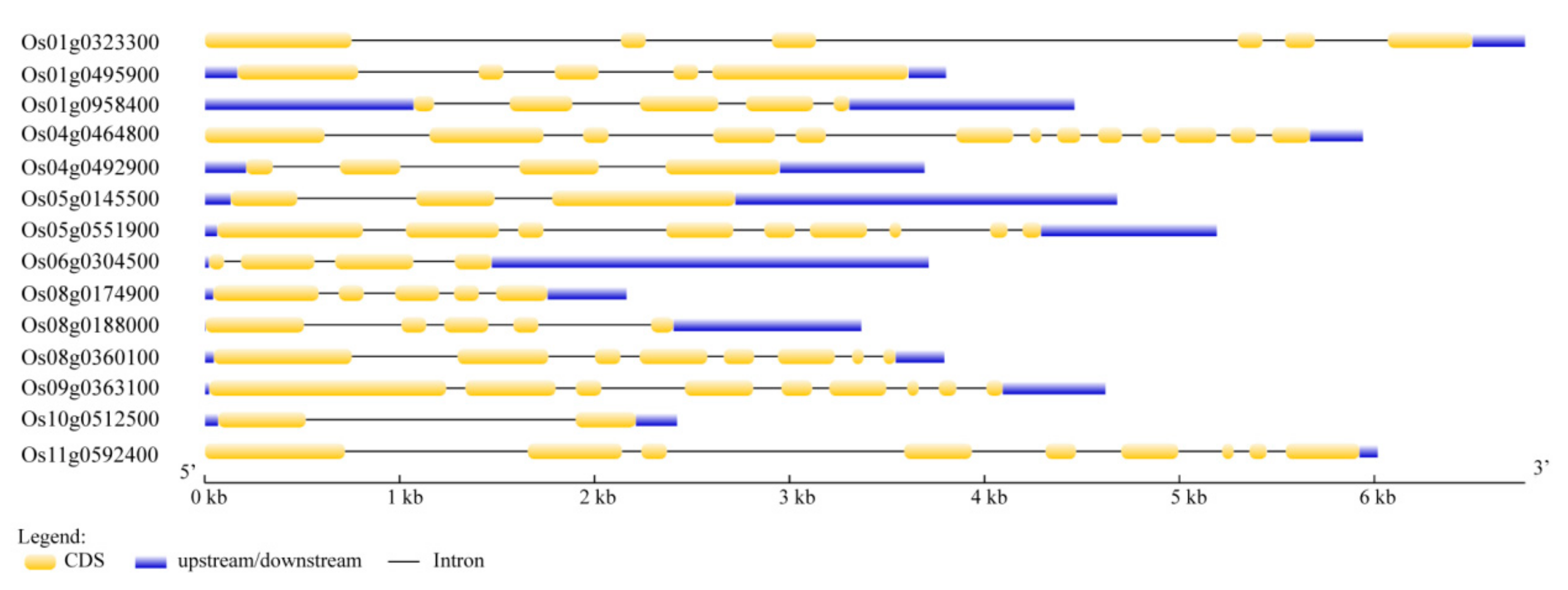 Biomolecules 10 00327 g001