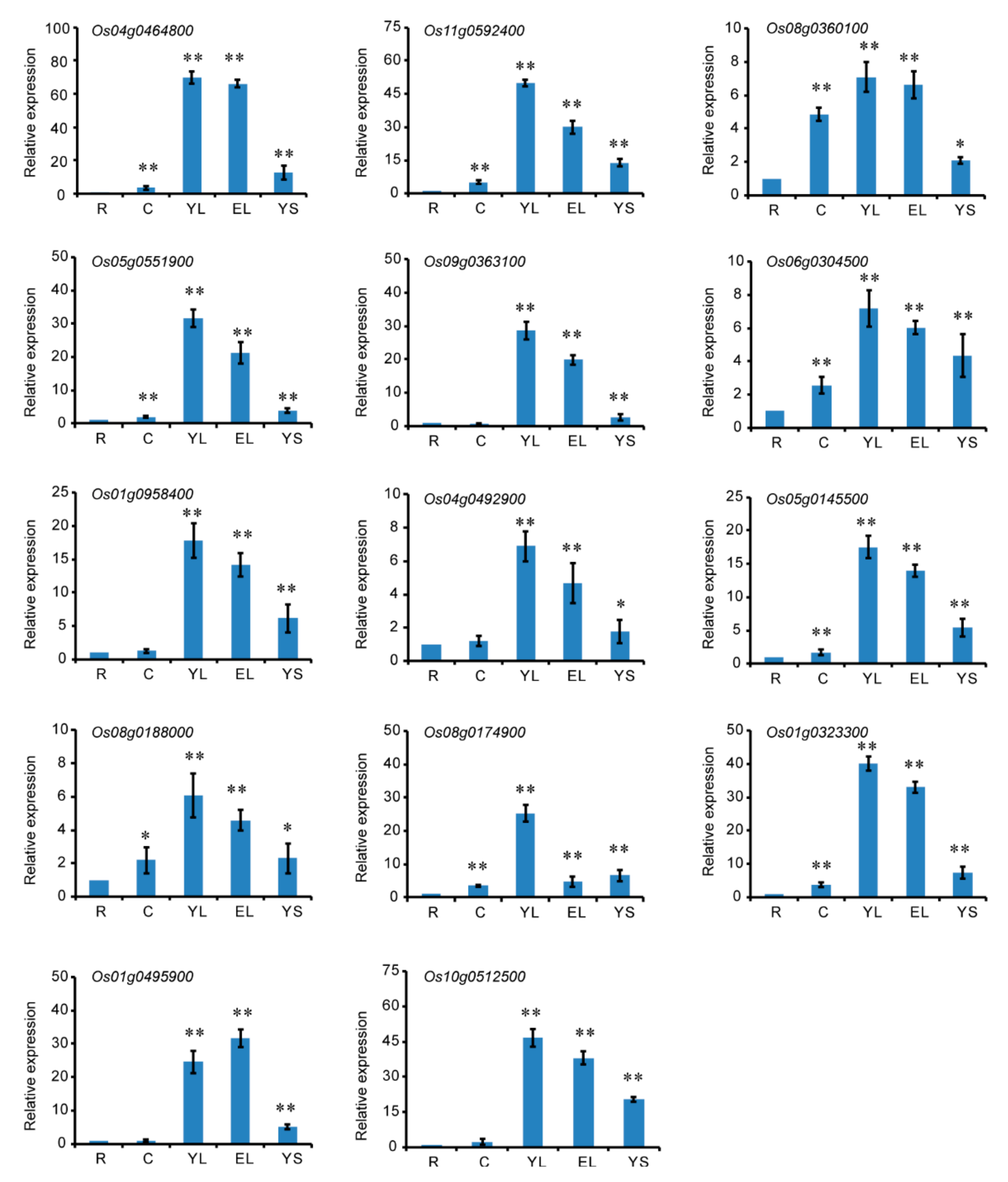Biomolecules 10 00327 g004