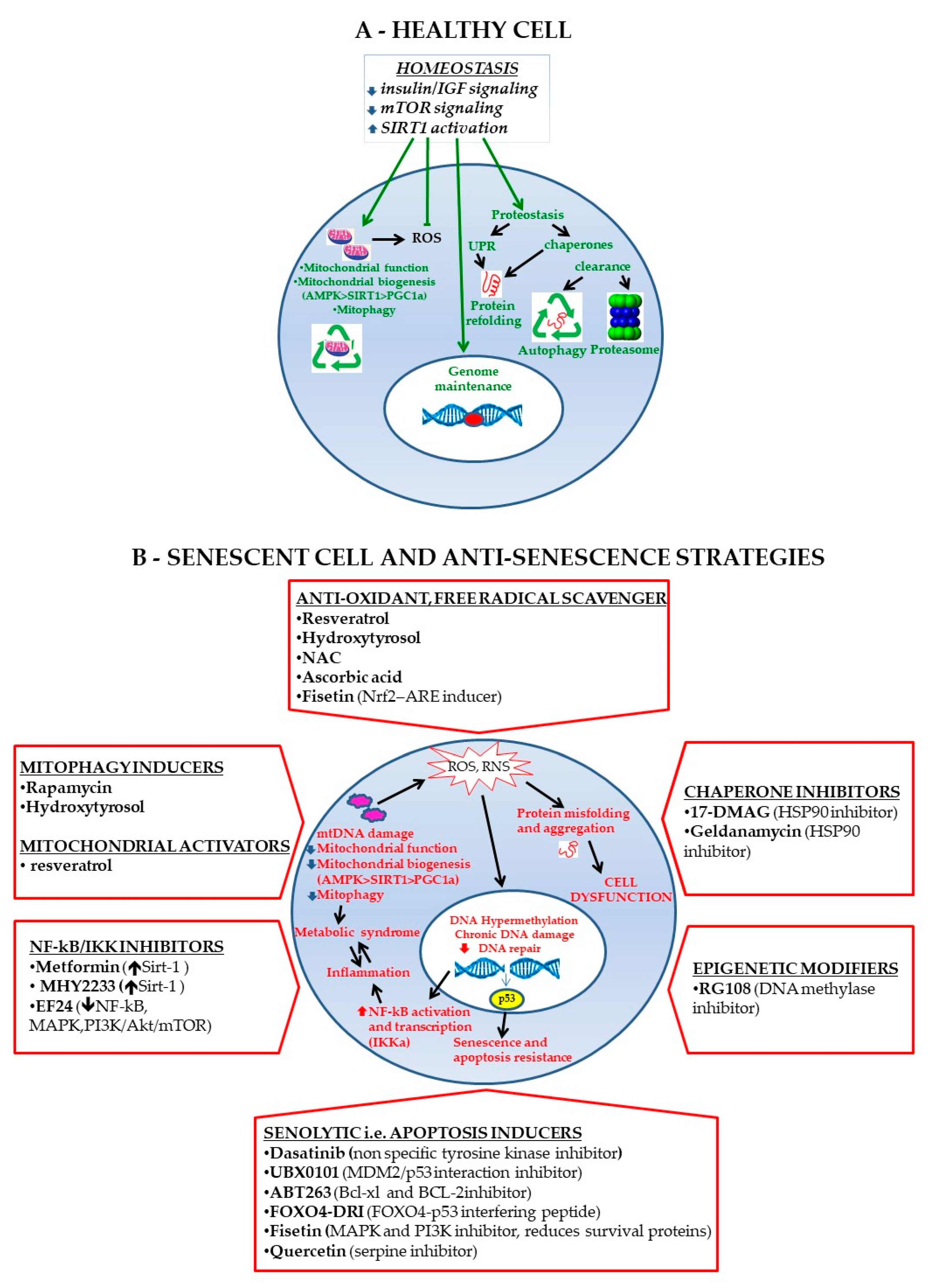 Biomolecules 10 00340 g002