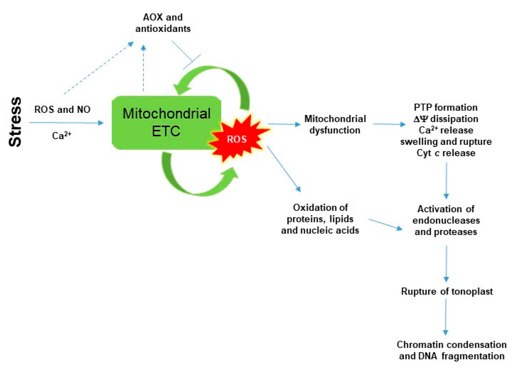 Biomolecules 10 00341 g001 Biomolecules 10 00341 g001