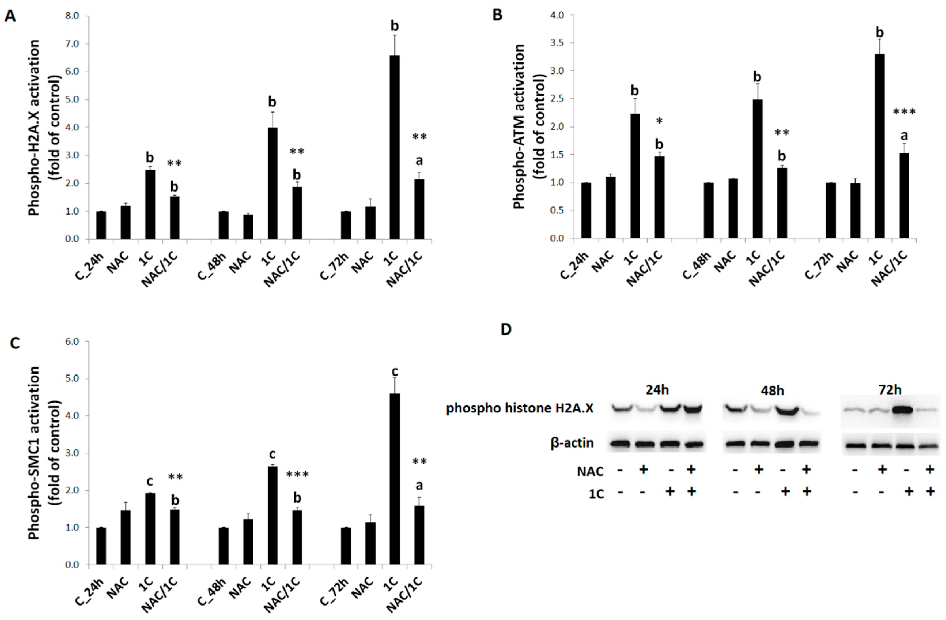 Biomolecules 10 00345 g010 Biomolecules 10 00345 g010