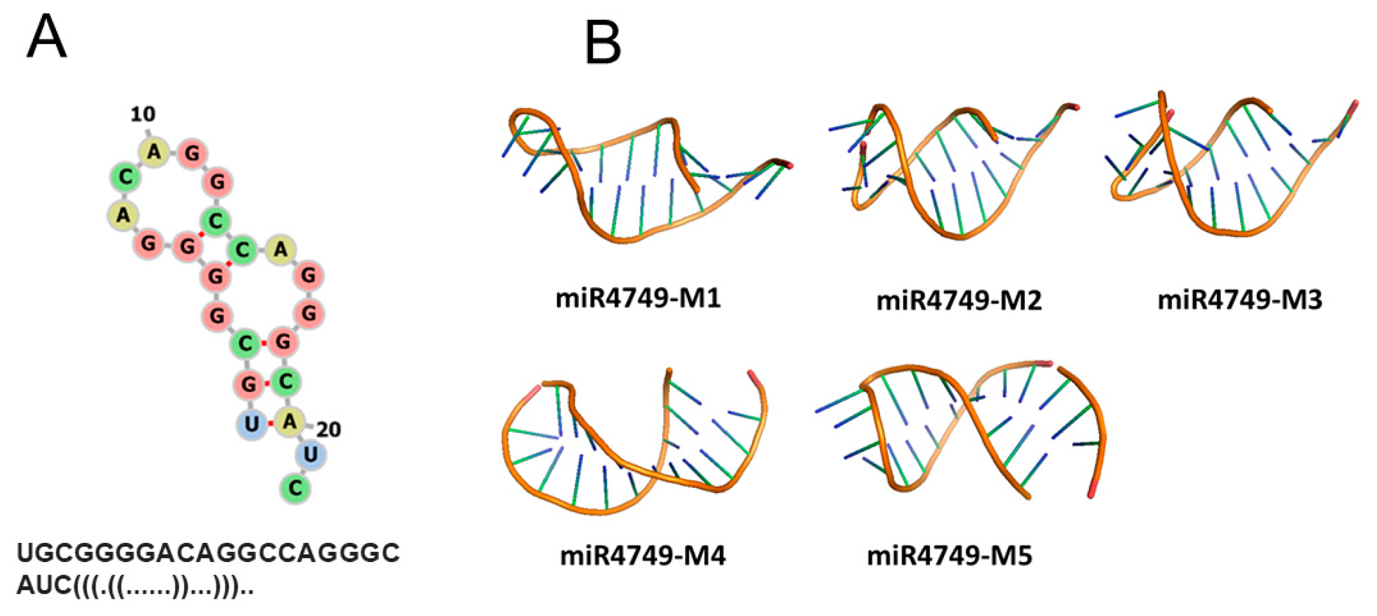 Biomolecules 10 00346 g004
