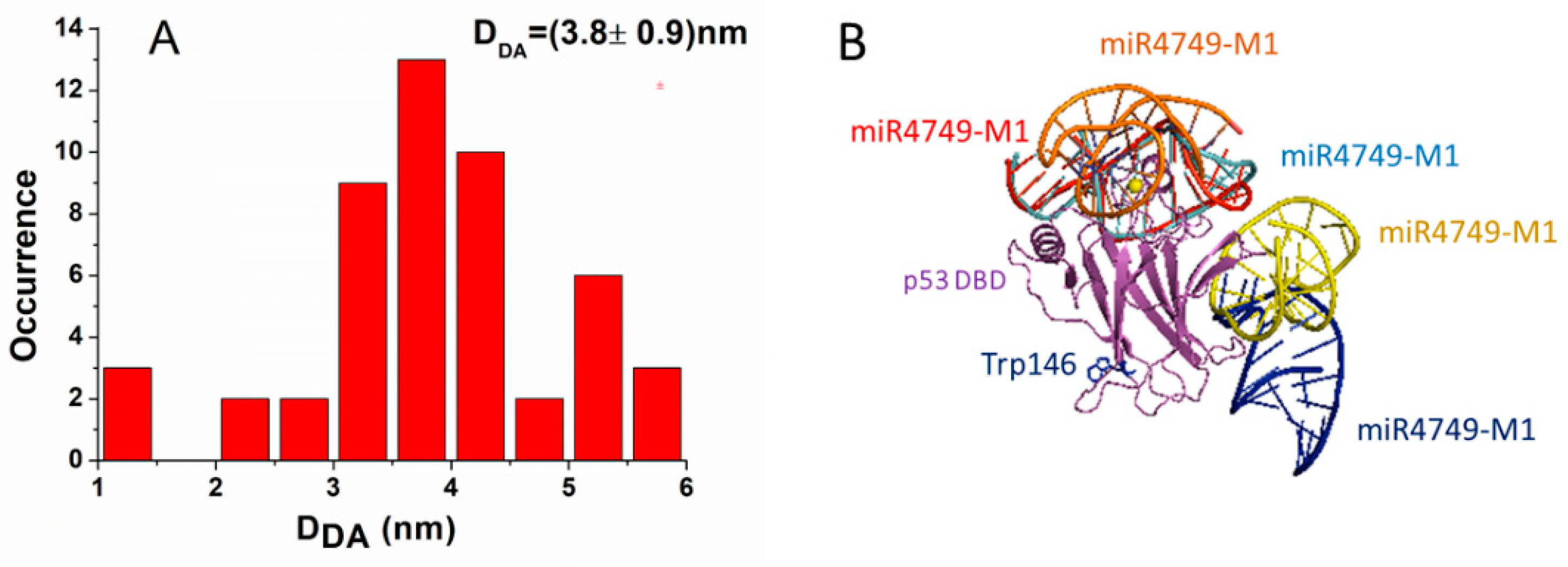 Biomolecules 10 00346 g005