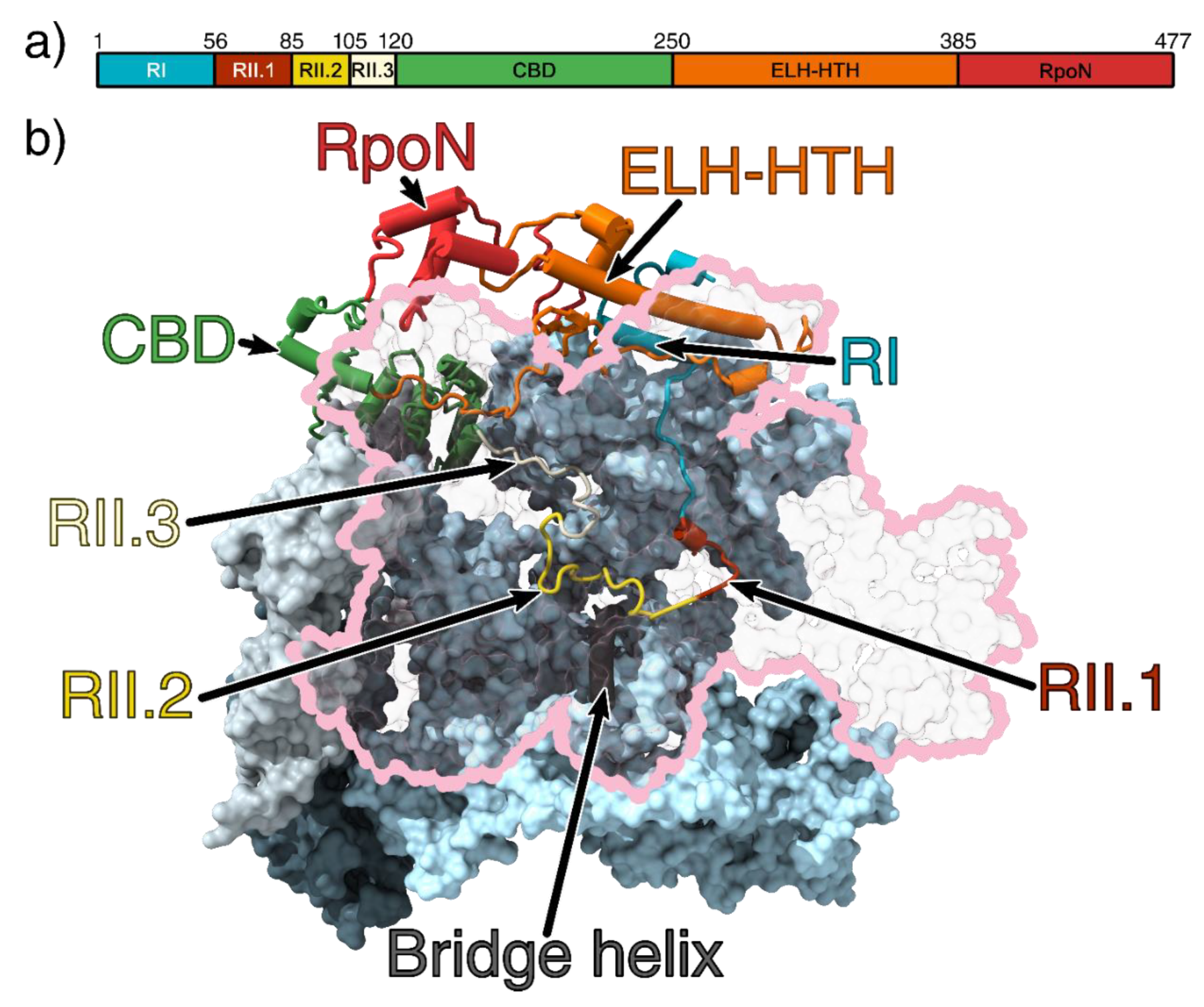 Biomolecules 10 00351 g001