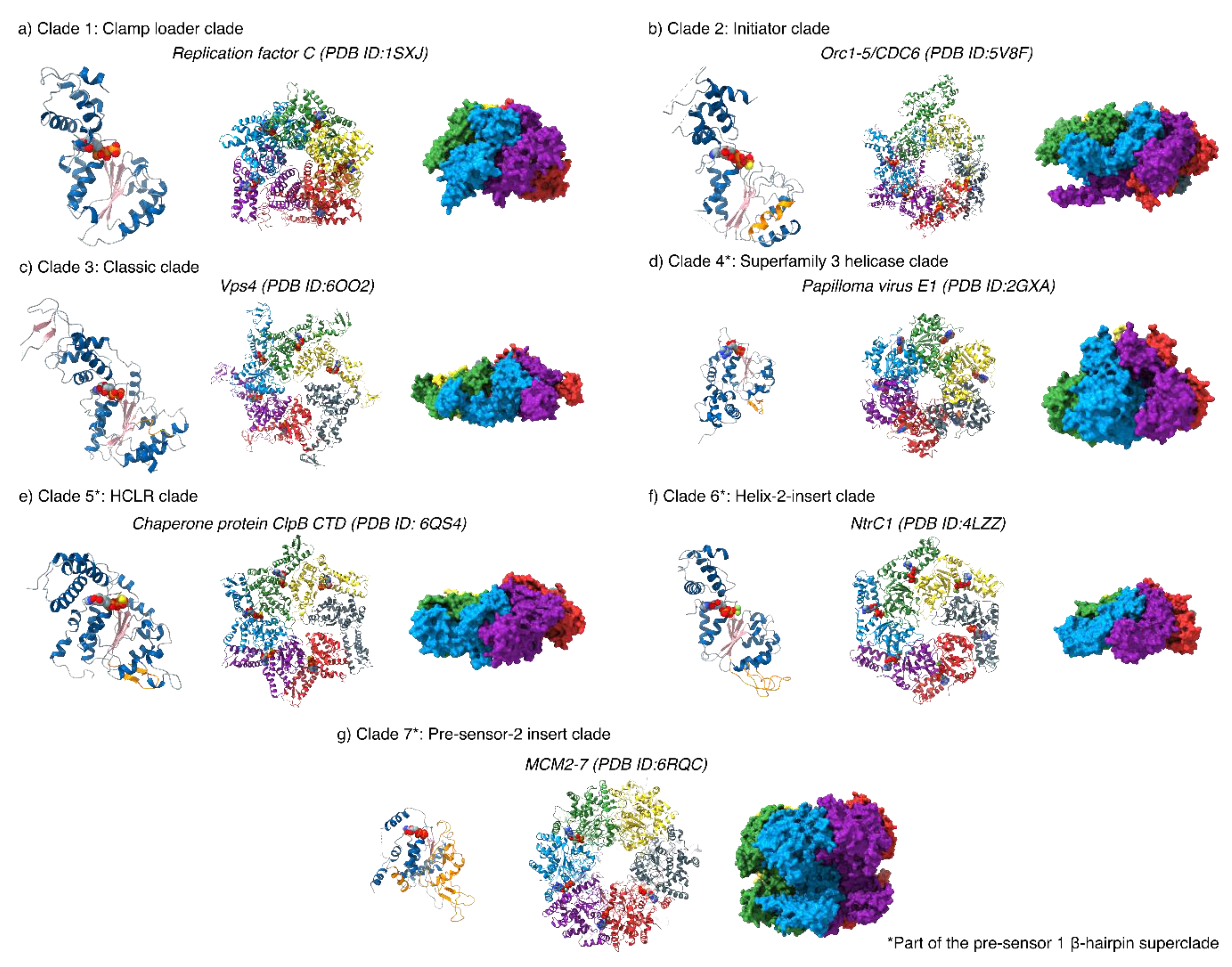 Biomolecules 10 00351 g002