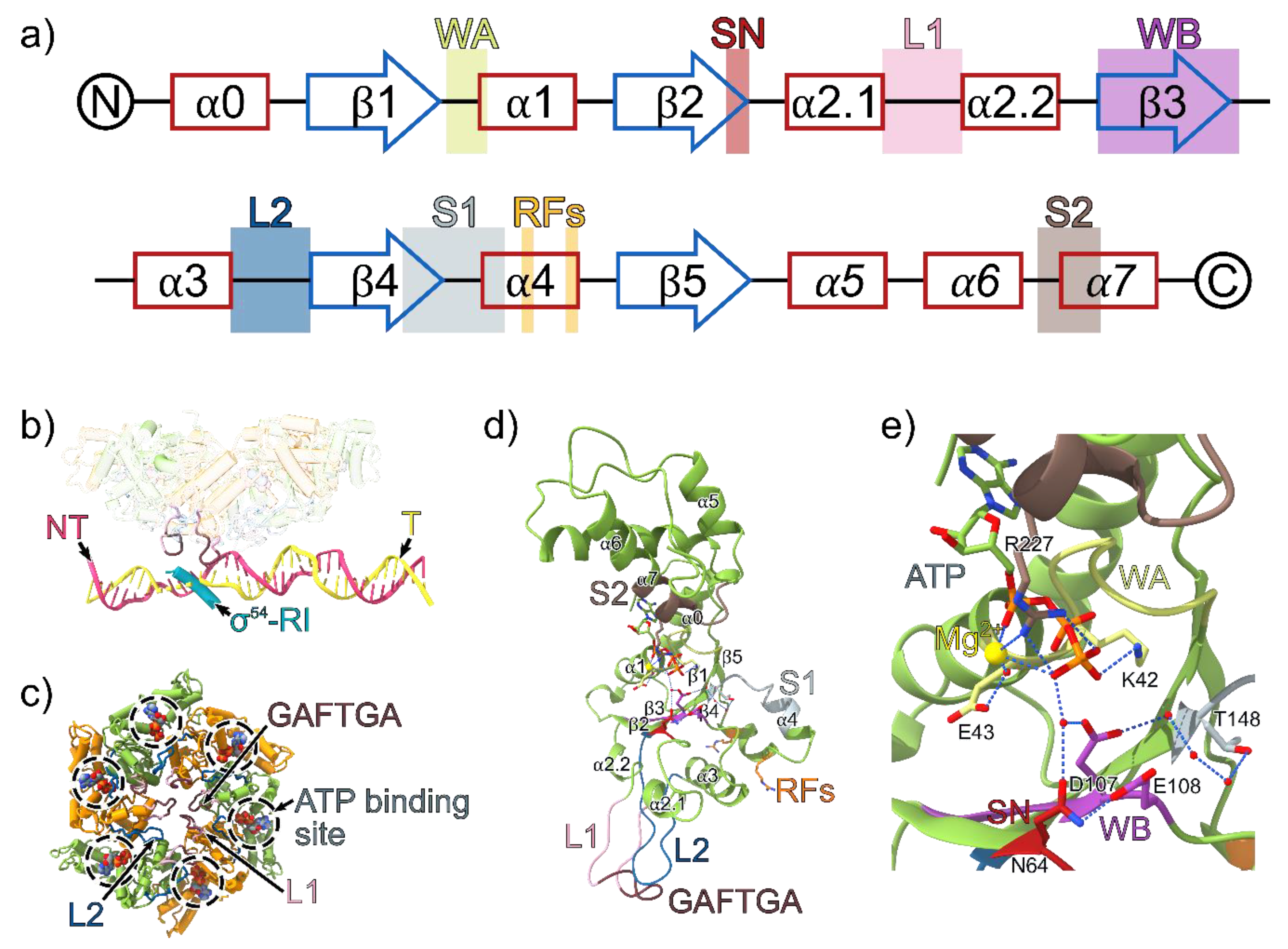 Biomolecules 10 00351 g003