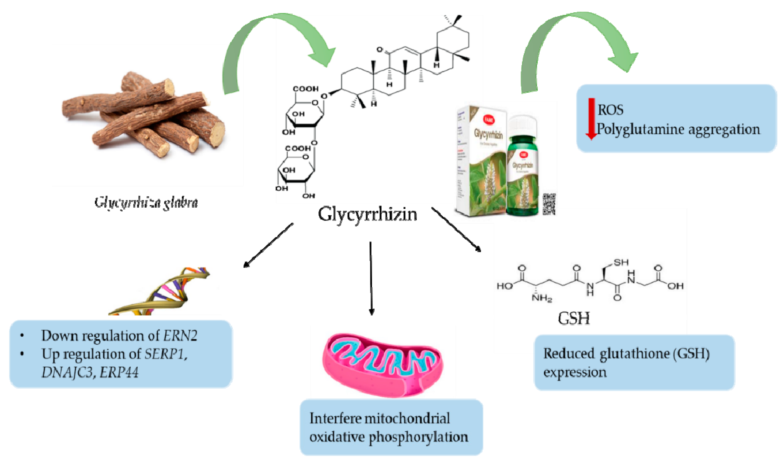 Biomolecules 10 00352 g001