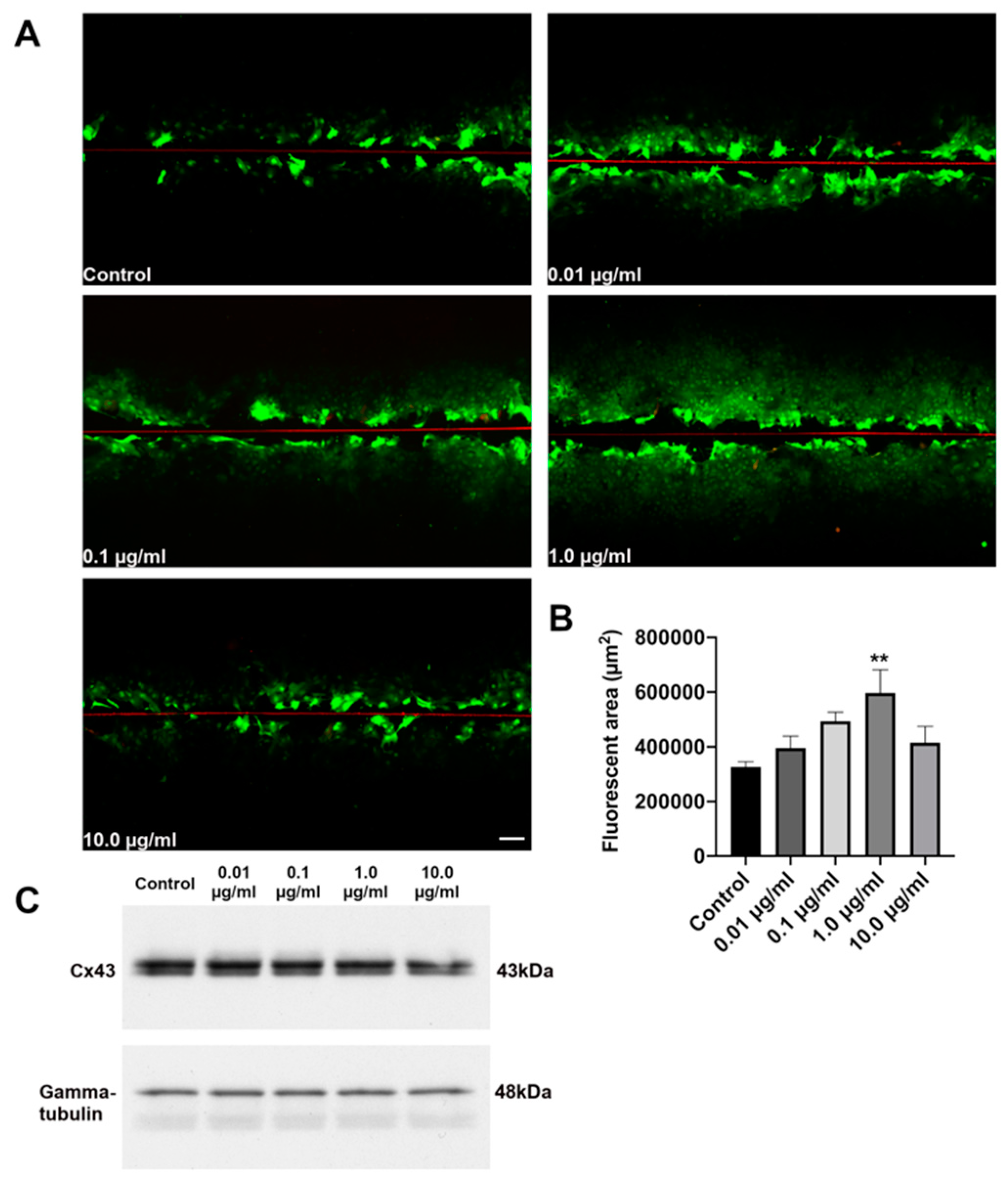 Biomolecules 10 00353 g001 Biomolecules 10 00353 g001