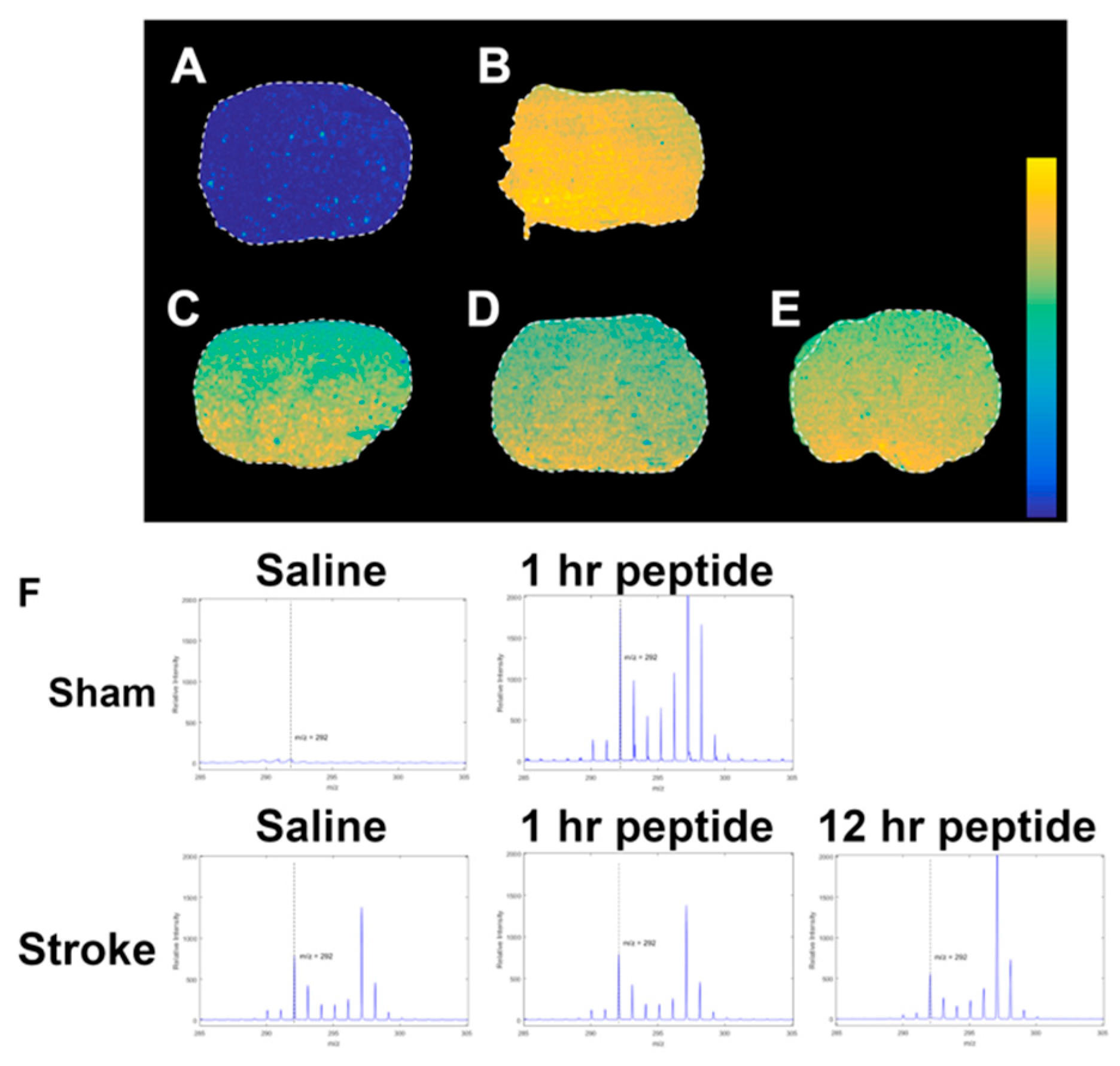 Biomolecules 10 00353 g003 Biomolecules 10 00353 g003