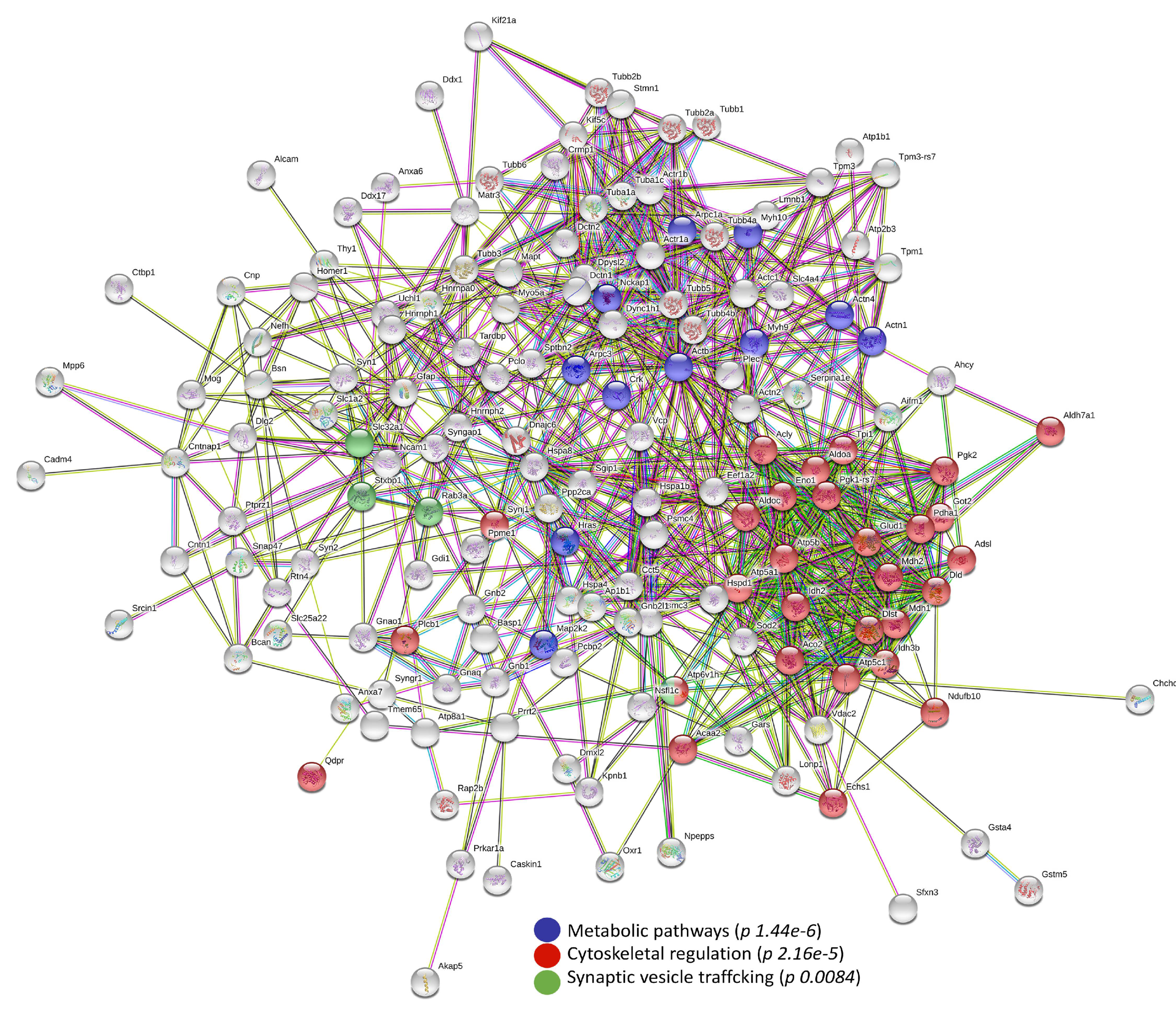 Biomolecules 10 00355 g005 Biomolecules 10 00355 g005