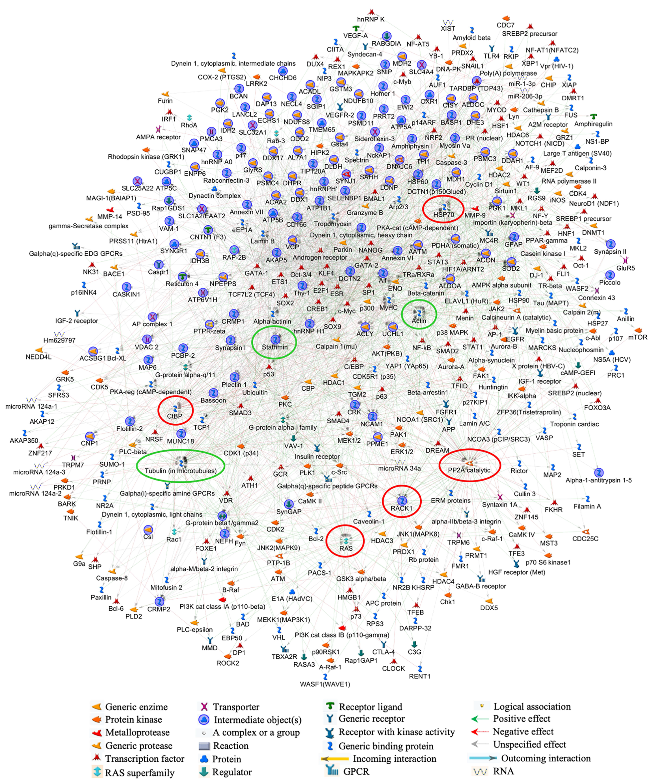 Biomolecules 10 00355 g006 Biomolecules 10 00355 g006