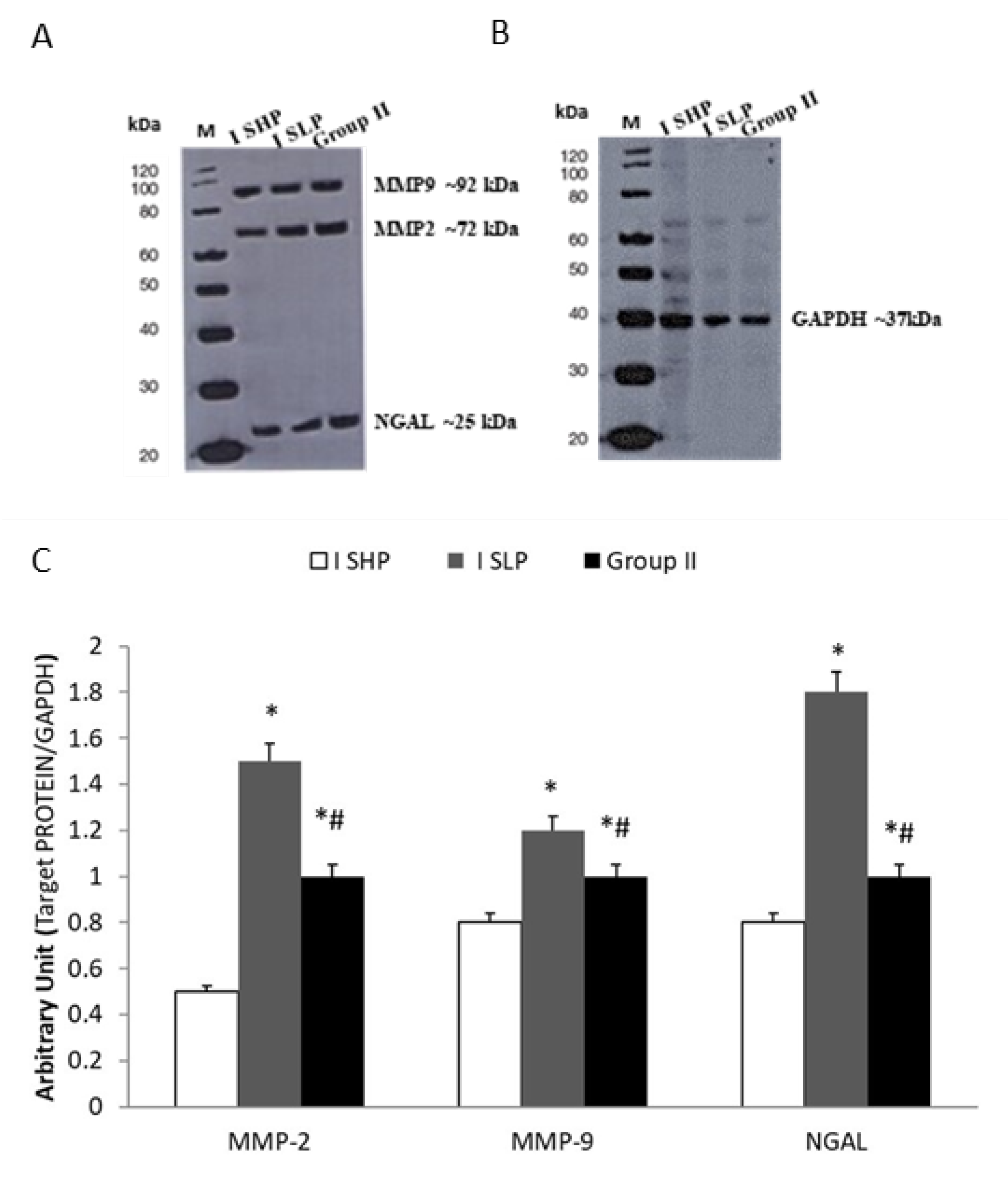 Biomolecules 10 00359 g004