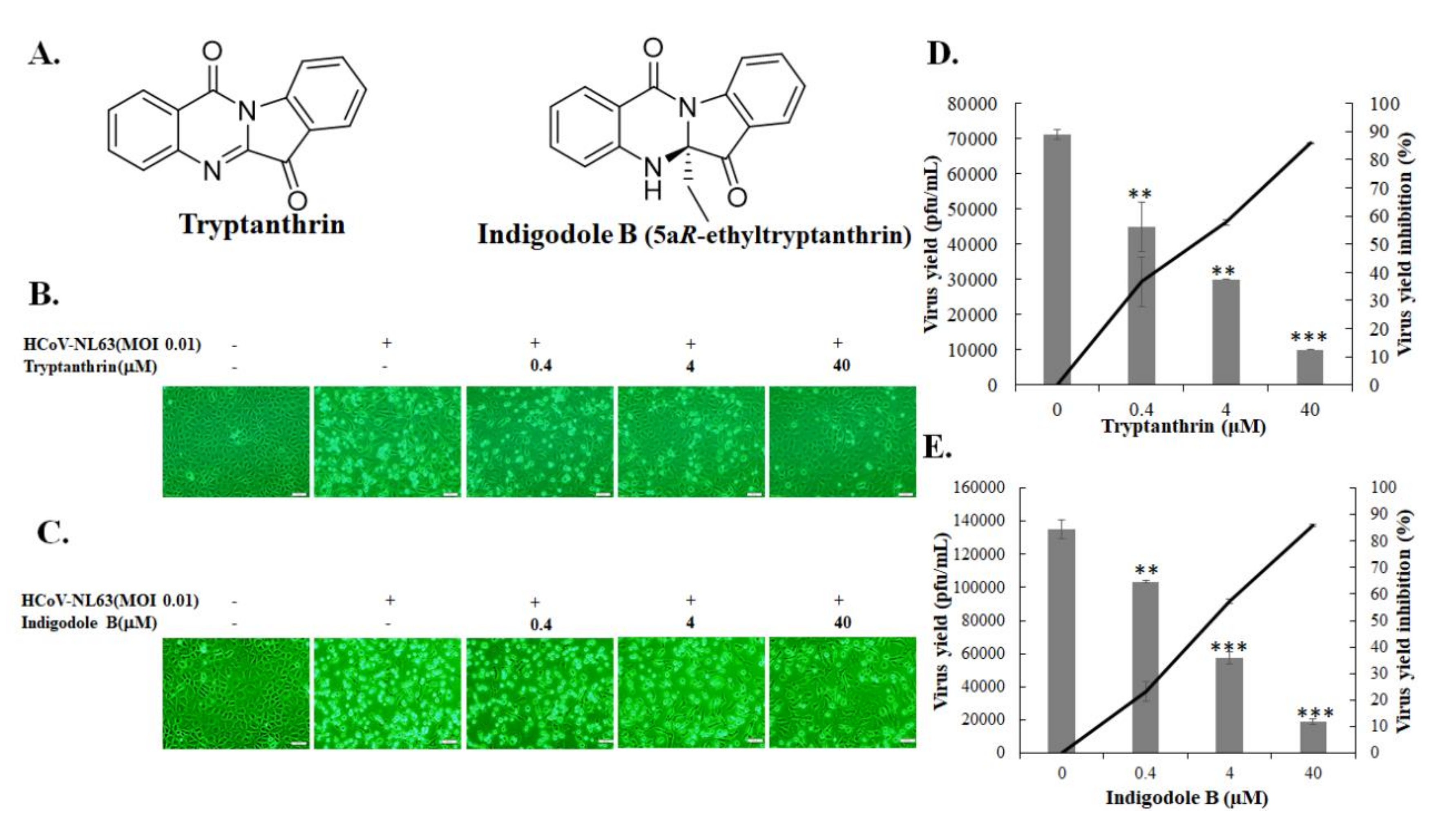 Biomolecules 10 00366 g004