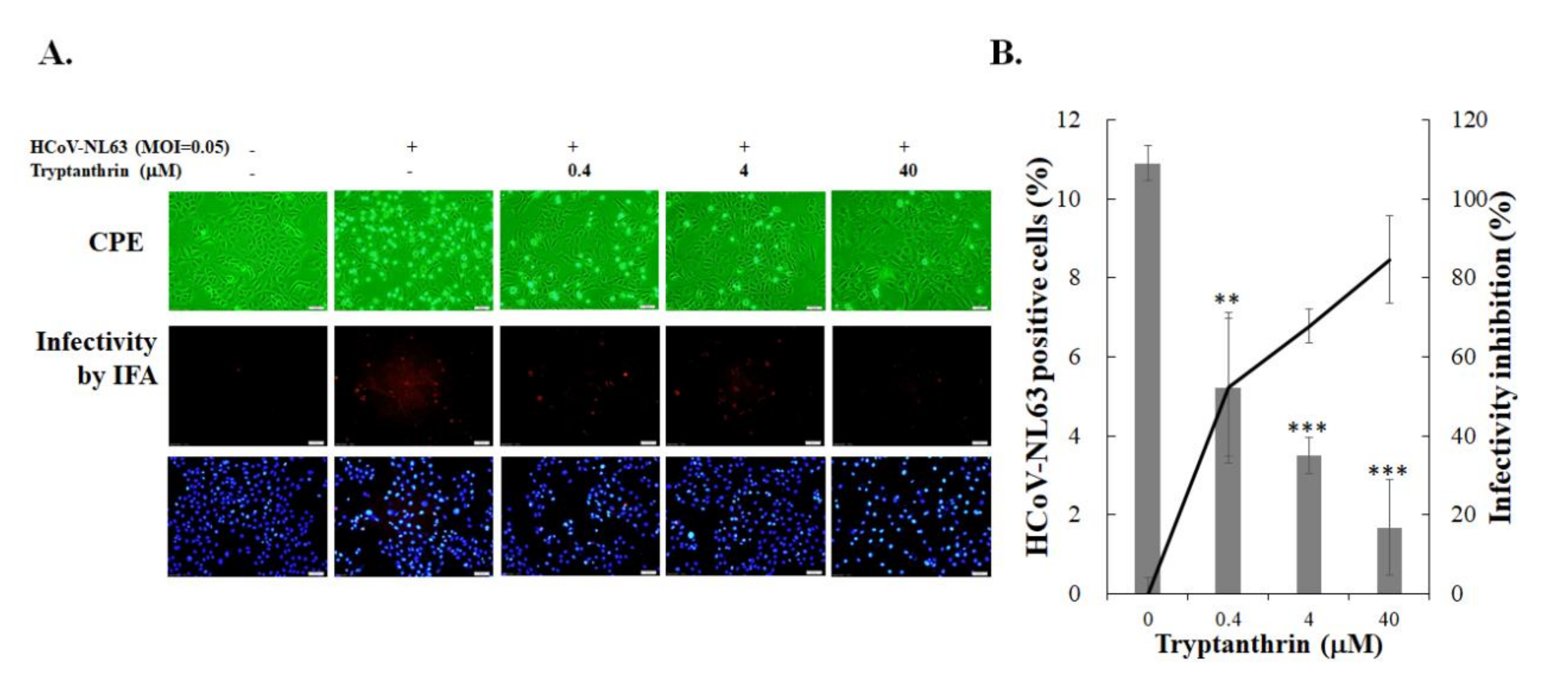 Biomolecules 10 00366 g005