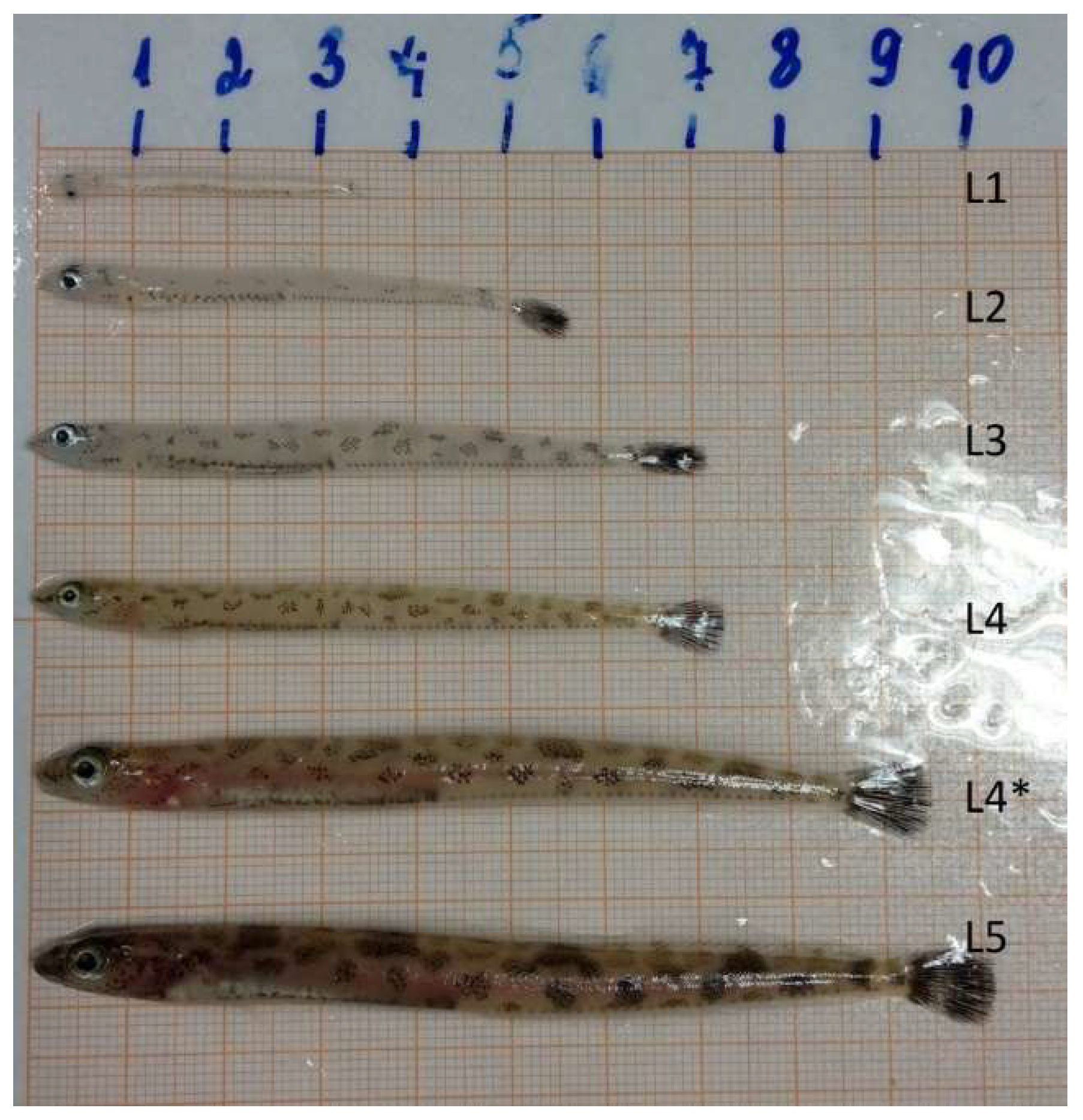 Biomolecules 10 00368 g001 Biomolecules 10 00368 g001