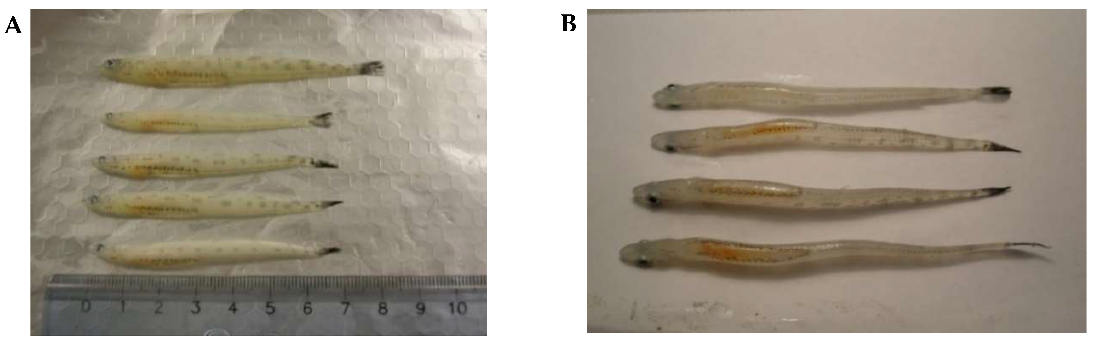 Biomolecules 10 00368 g002 Biomolecules 10 00368 g002