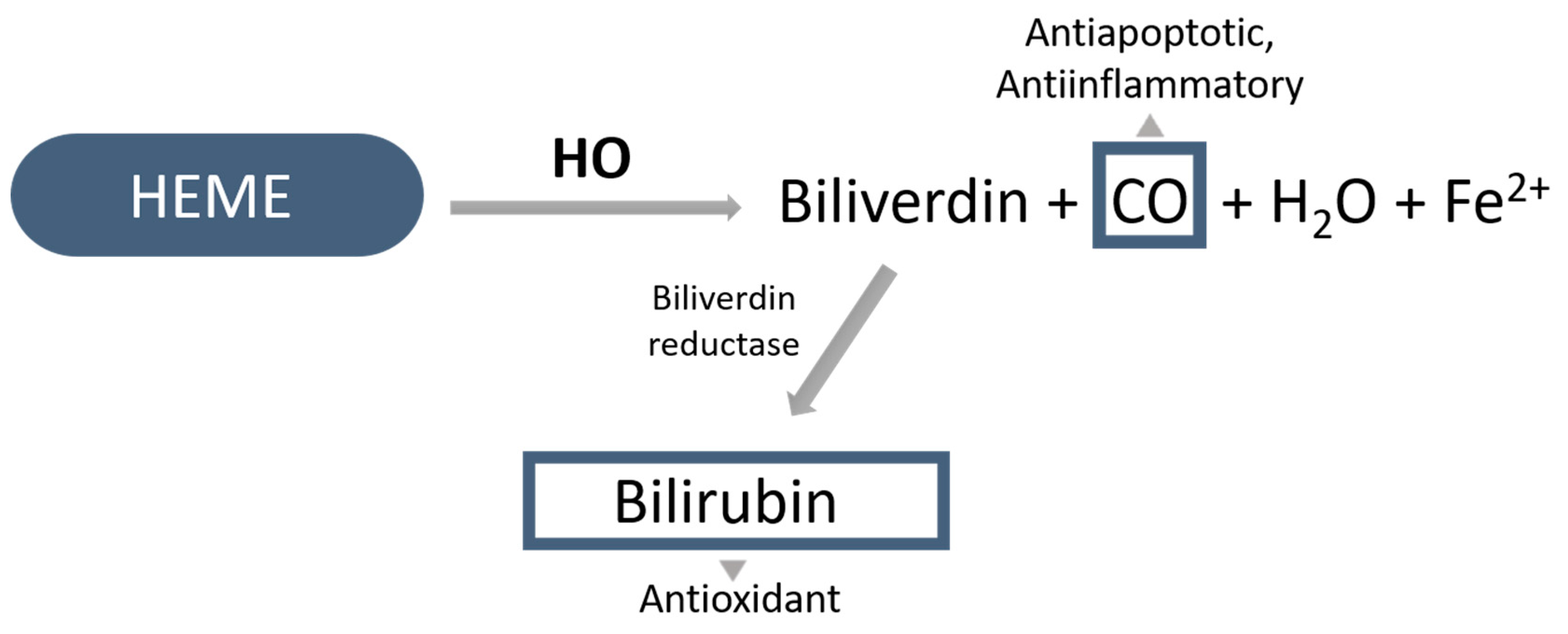 Biomolecules 10 00375 g002