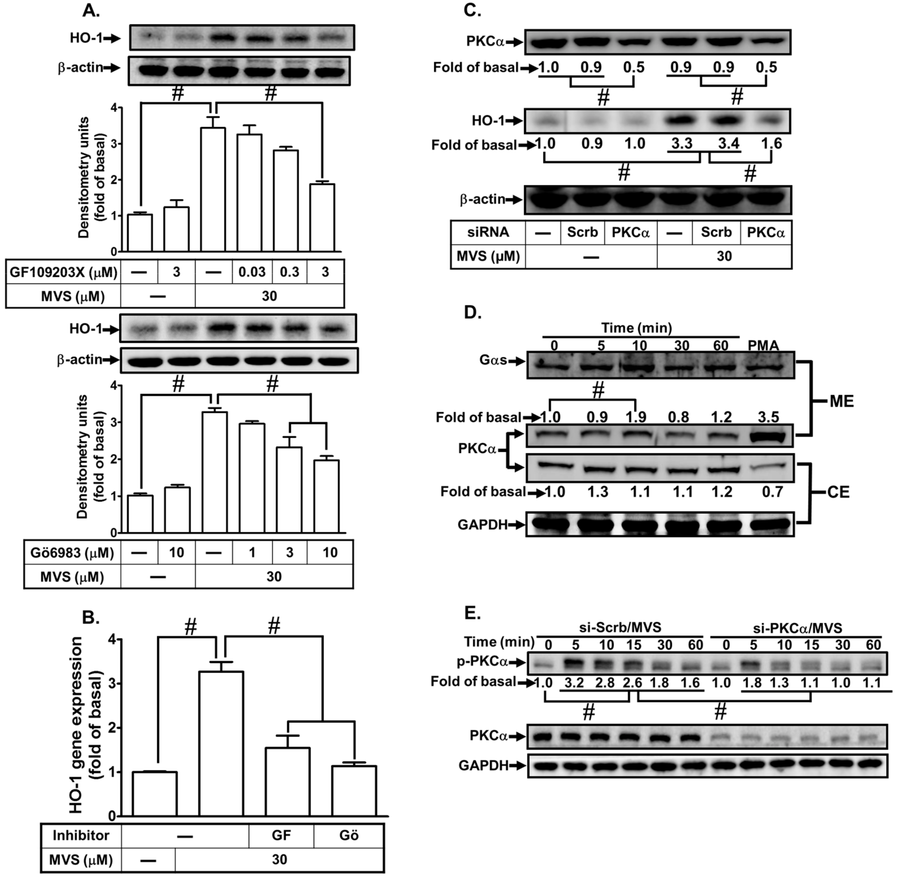 Biomolecules 10 00381 g002 Biomolecules 10 00381 g002