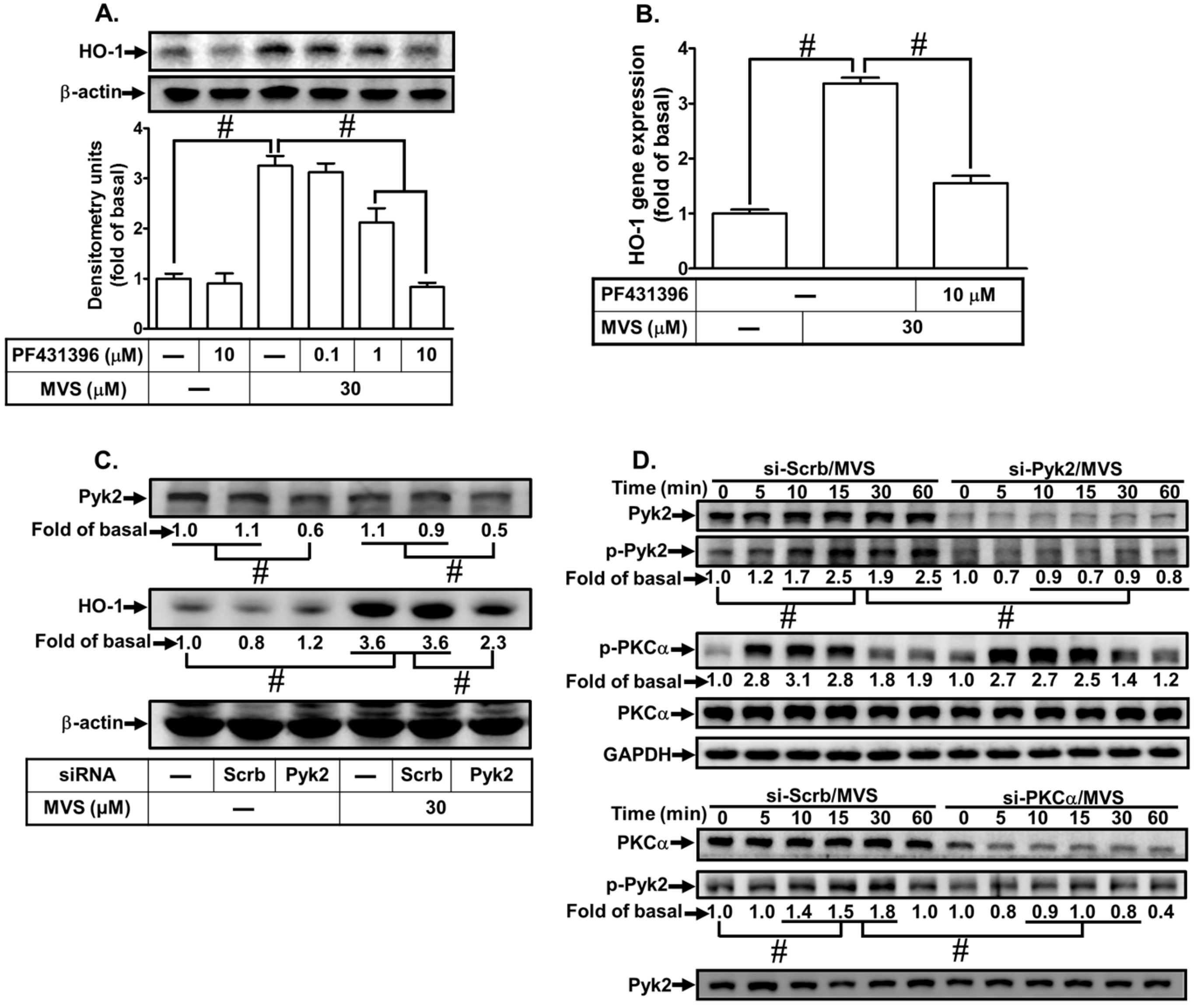 Biomolecules 10 00381 g003 Biomolecules 10 00381 g003