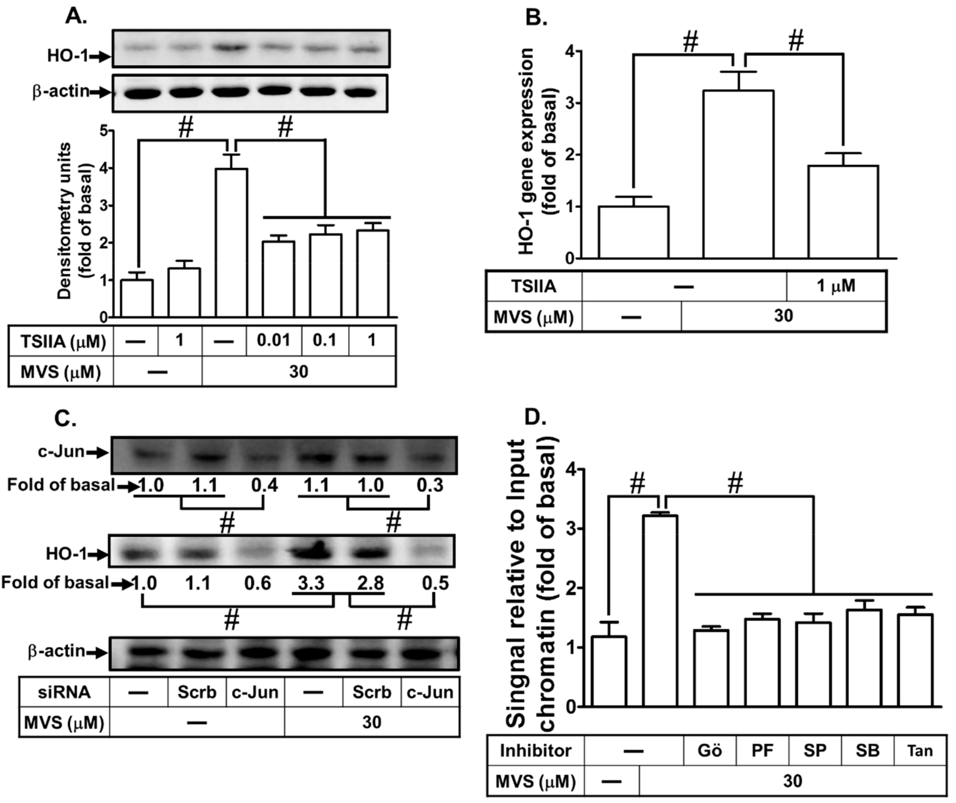Biomolecules 10 00381 g006a Biomolecules 10 00381 g006a