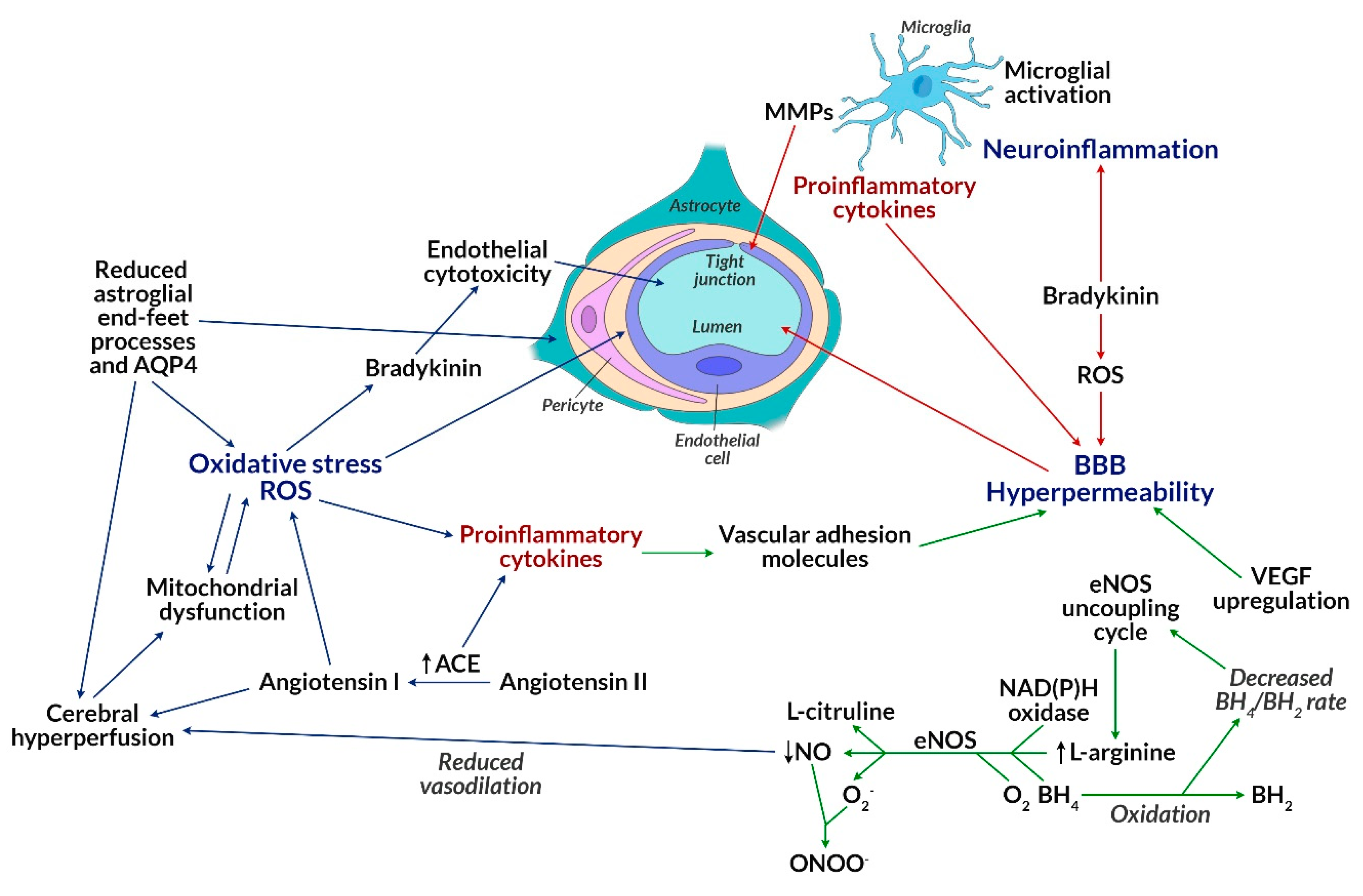 Biomolecules 10 00384 g003