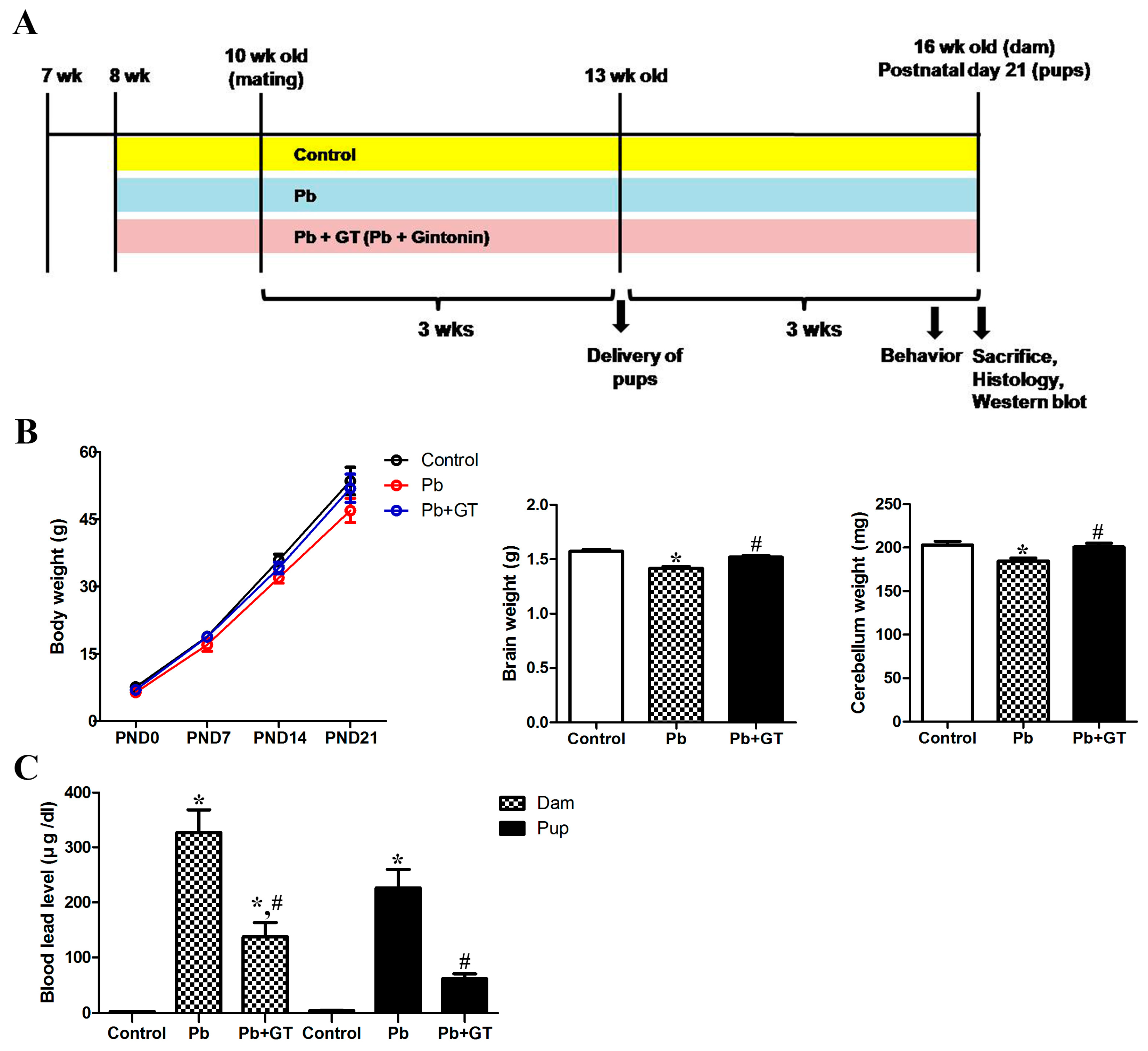 Biomolecules 10 00385 g001 Biomolecules 10 00385 g001