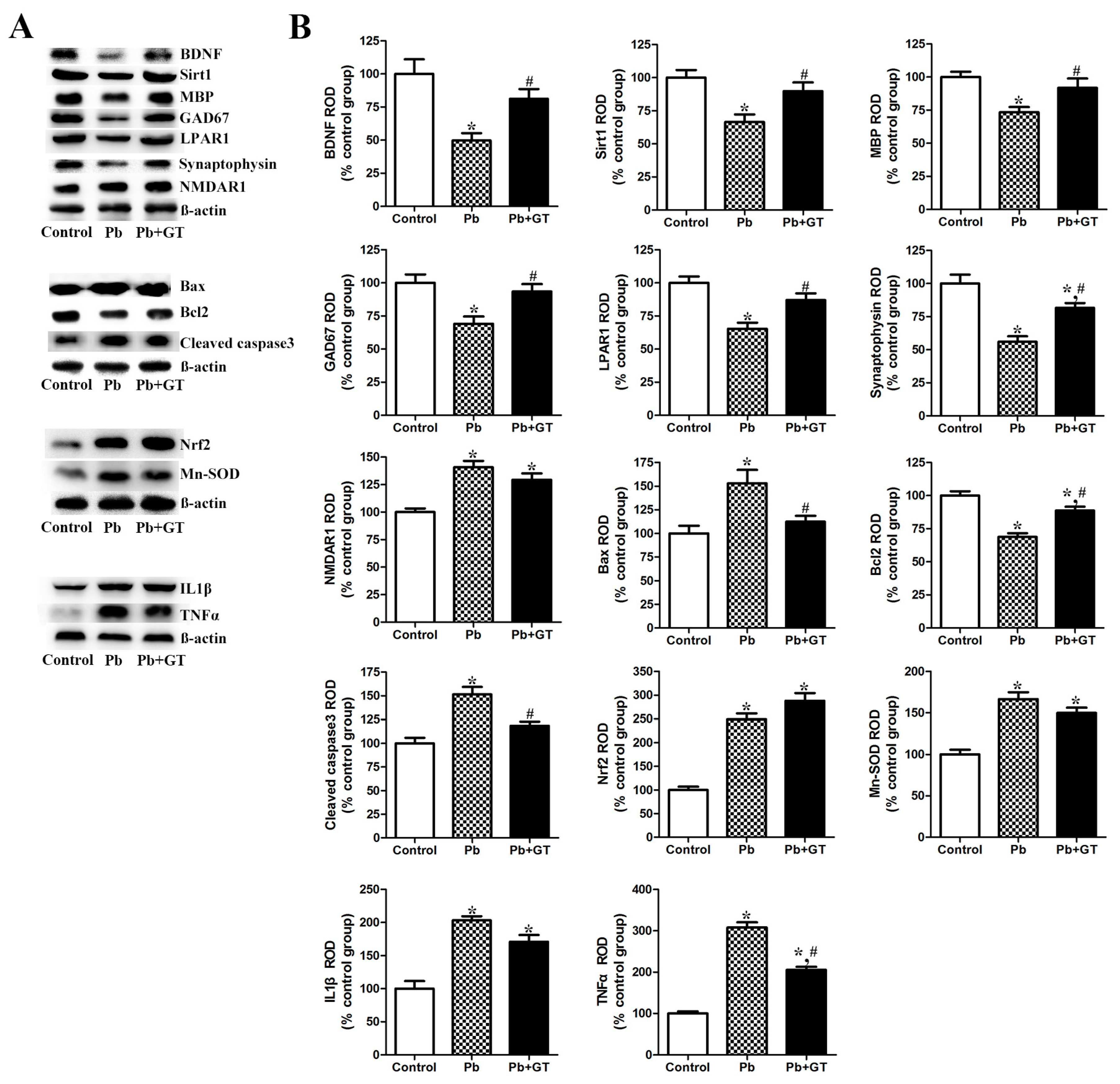 Biomolecules 10 00385 g003 Biomolecules 10 00385 g003