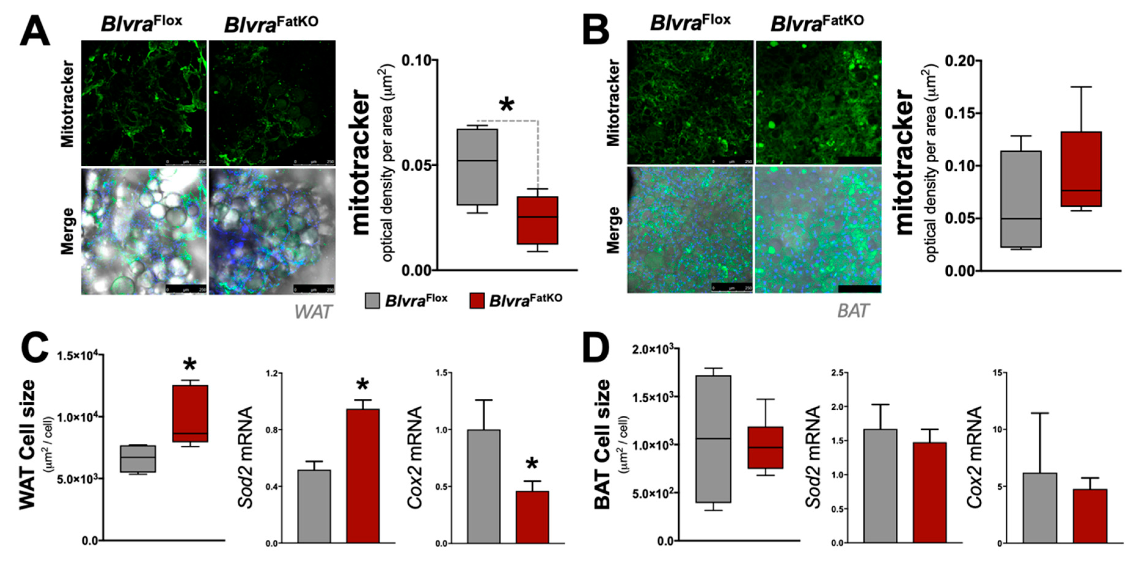 Biomolecules 10 00387 g005
