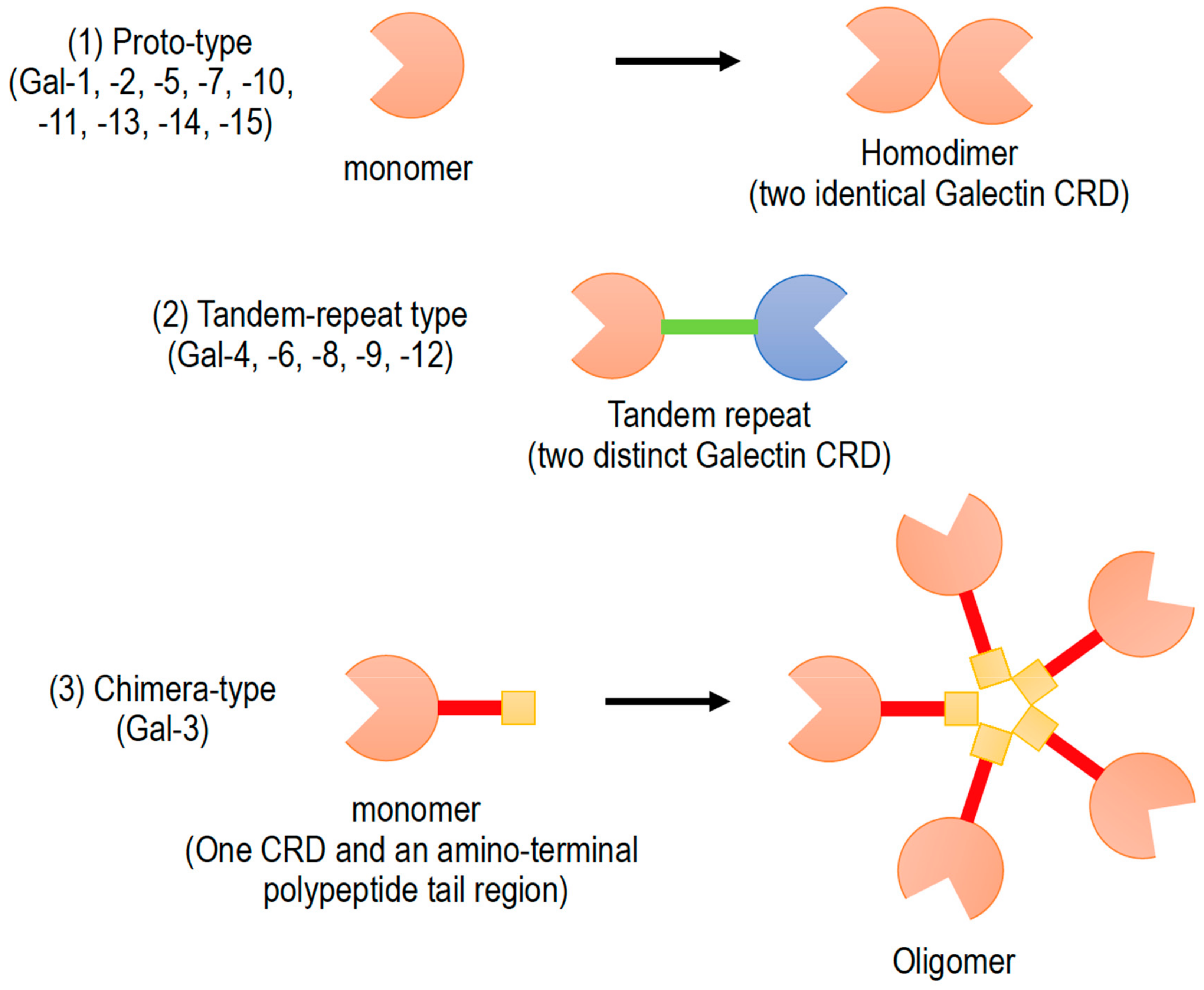Biomolecules 10 00389 g001 Biomolecules 10 00389 g001