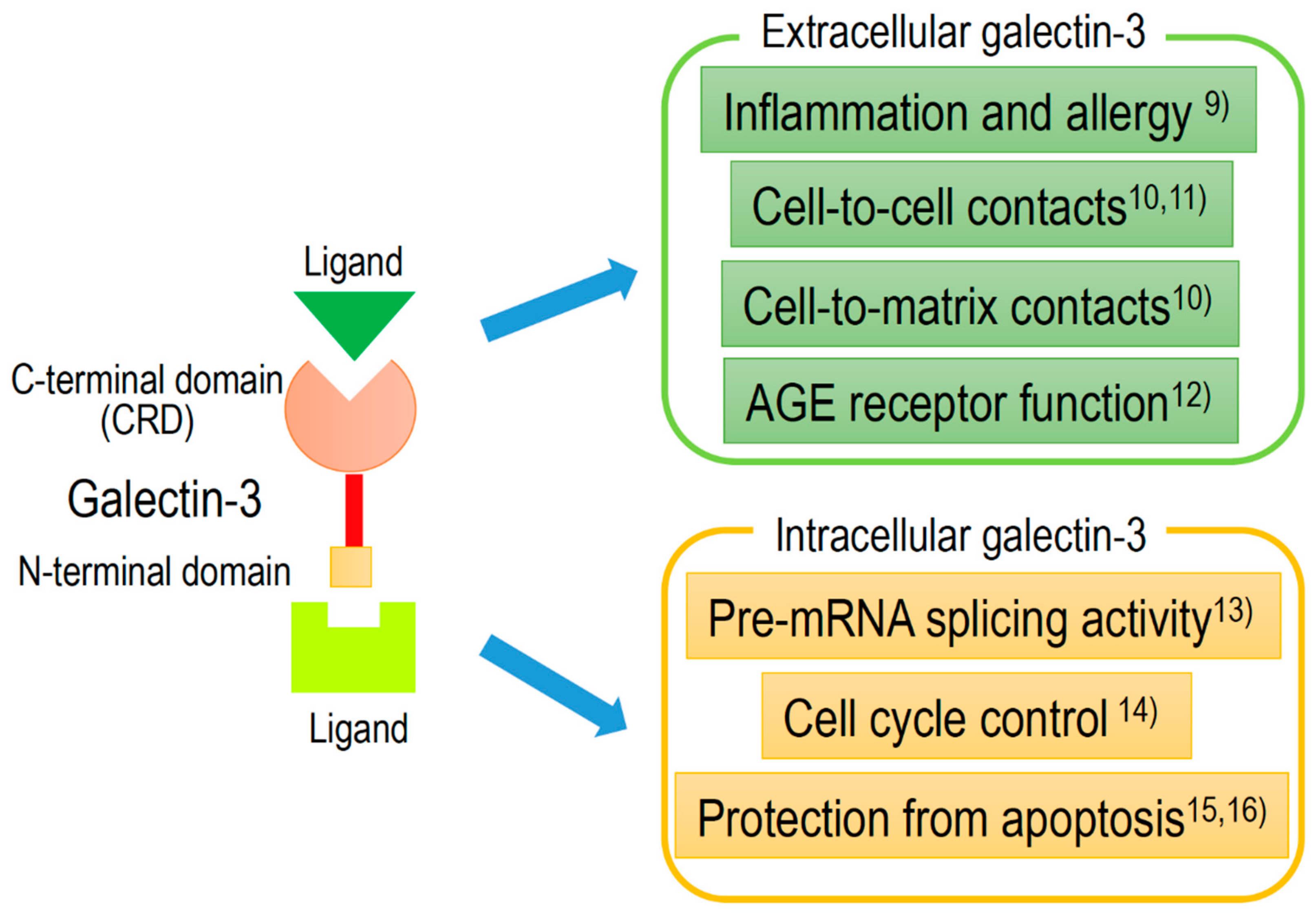 Biomolecules 10 00389 g002 Biomolecules 10 00389 g002