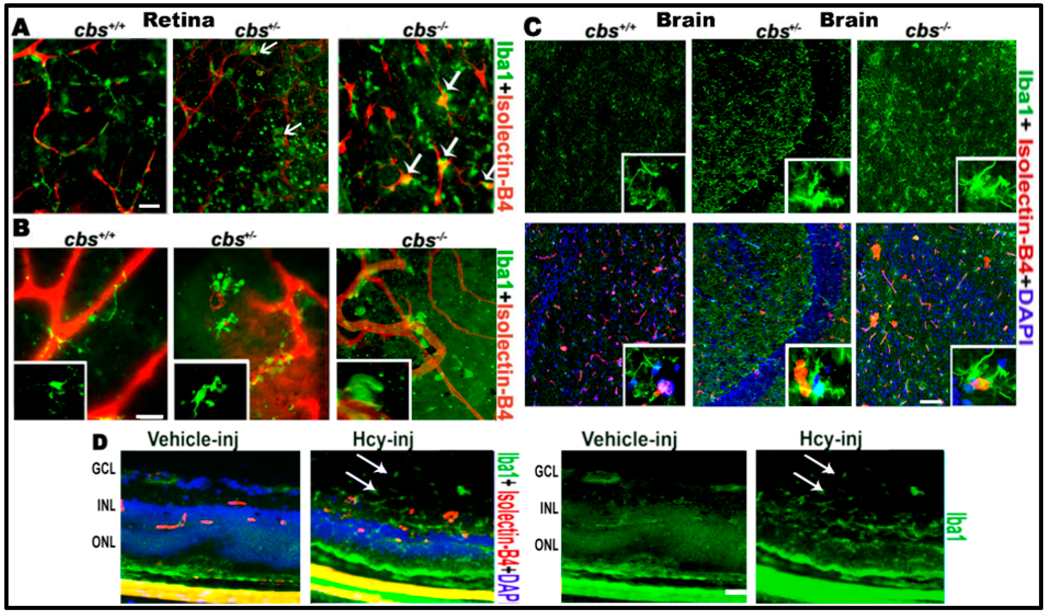 Biomolecules 10 00393 g001