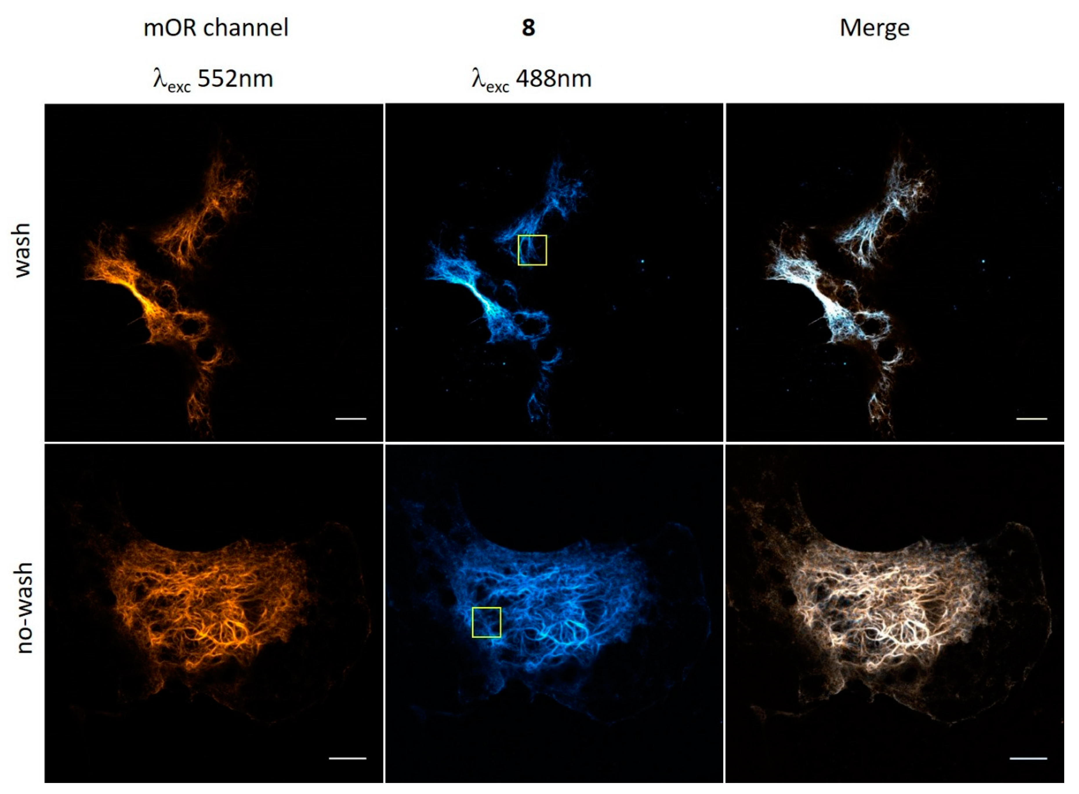 Biomolecules 10 00397 g002