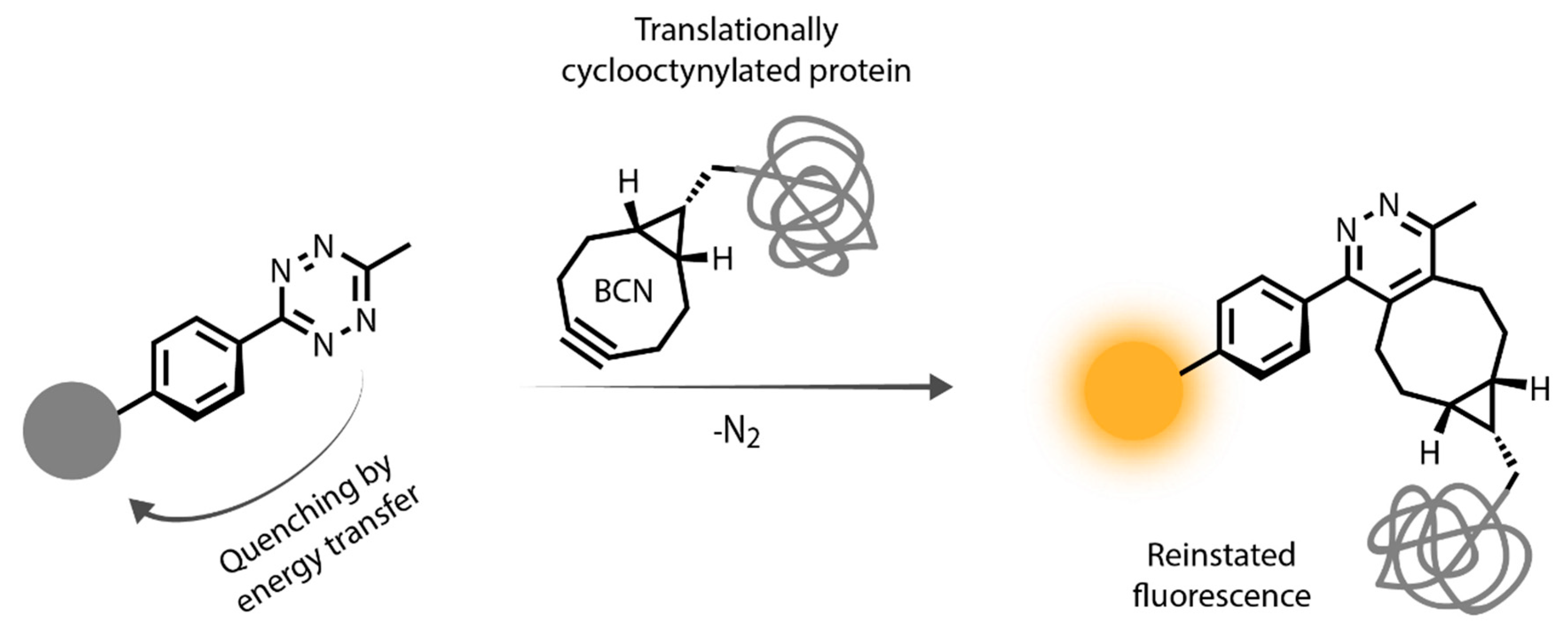 Biomolecules 10 00397 sch001