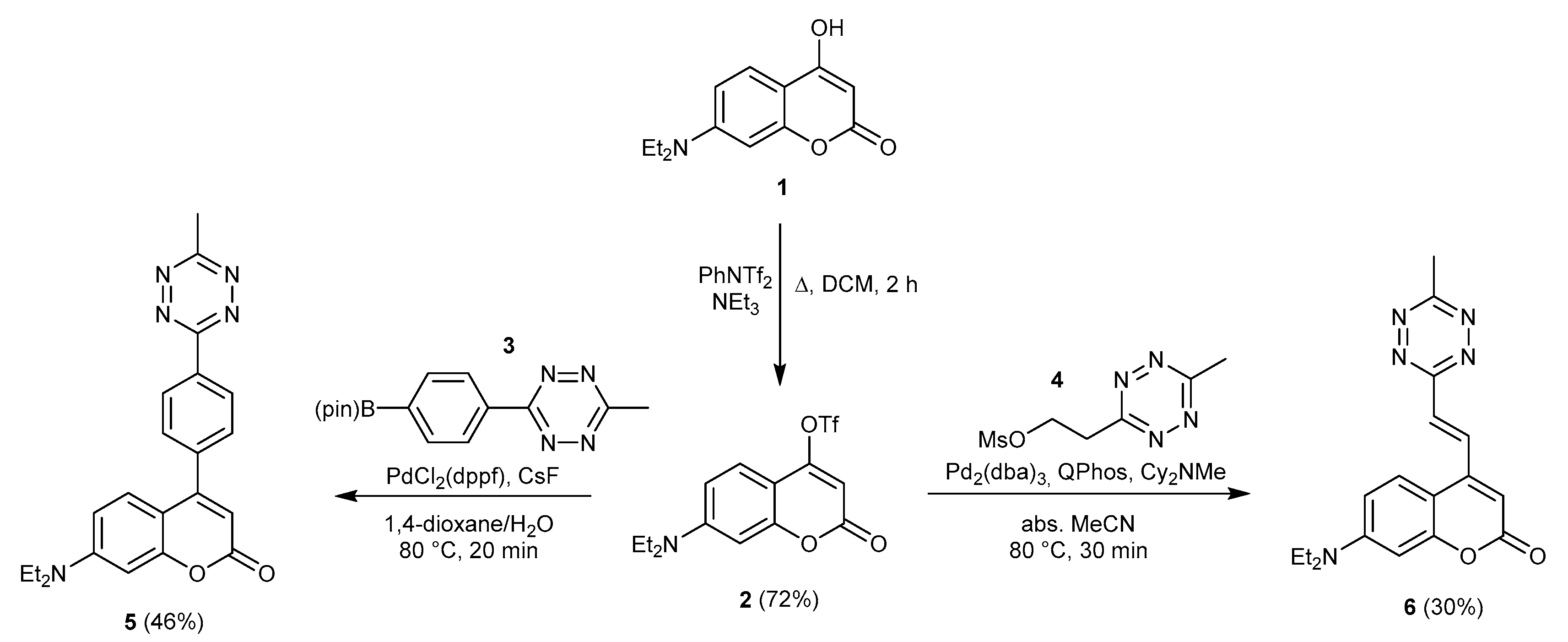 Biomolecules 10 00397 sch002