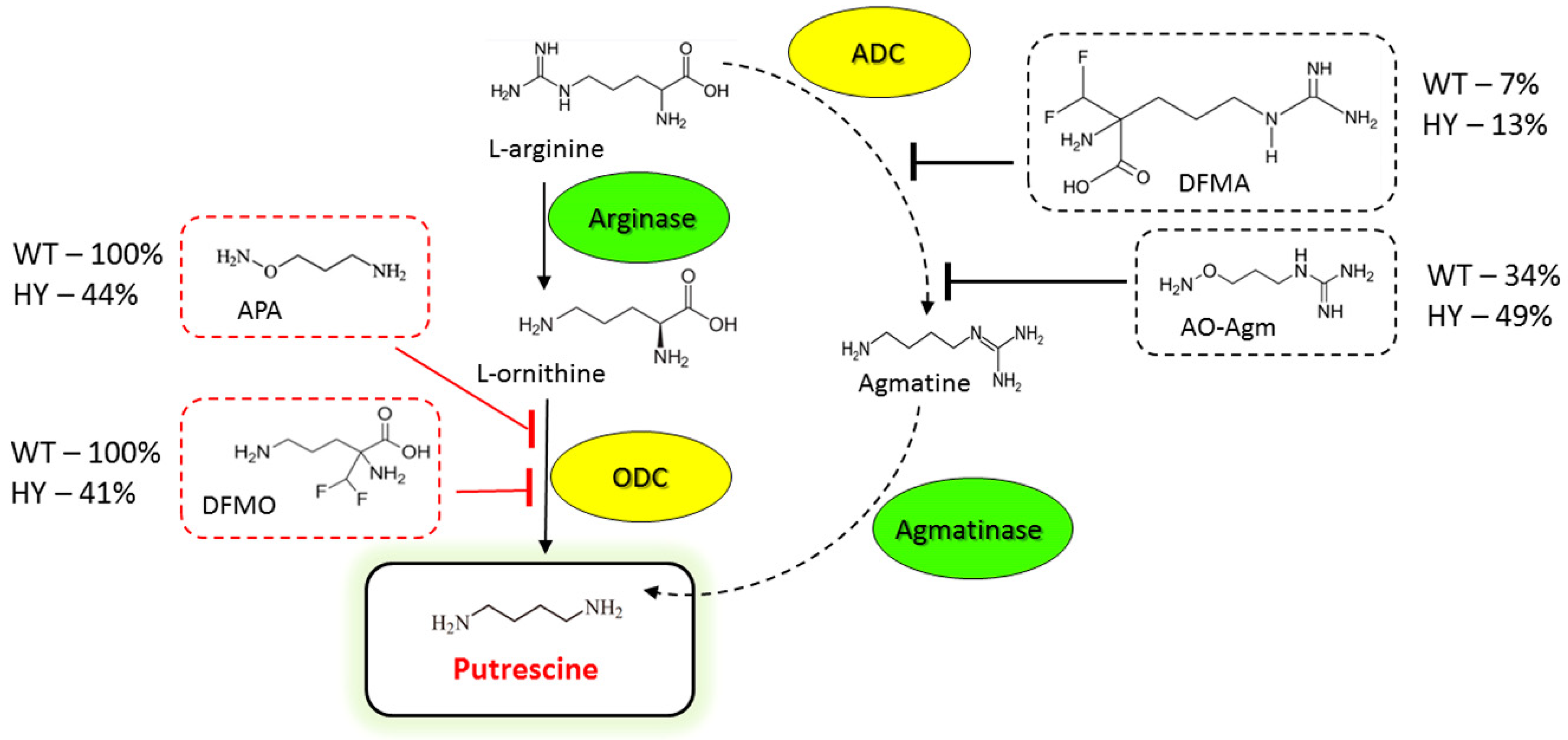 Biomolecules 10 00406 g005 Biomolecules 10 00406 g005
