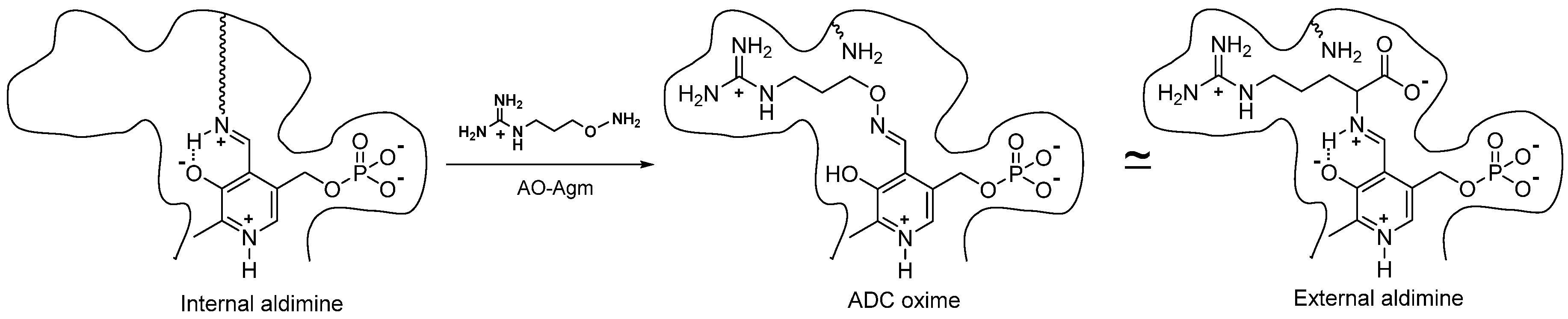Biomolecules 10 00406 g007 Biomolecules 10 00406 g007