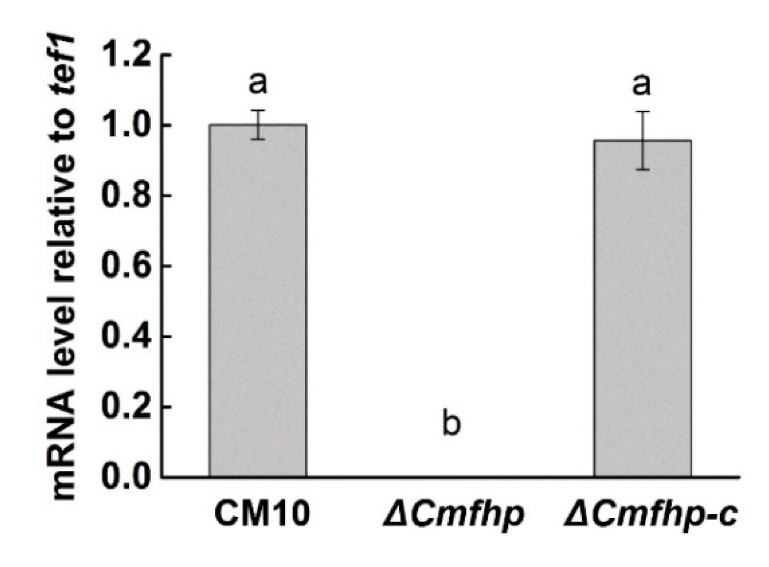 Biomolecules 10 00410 g002 Biomolecules 10 00410 g002