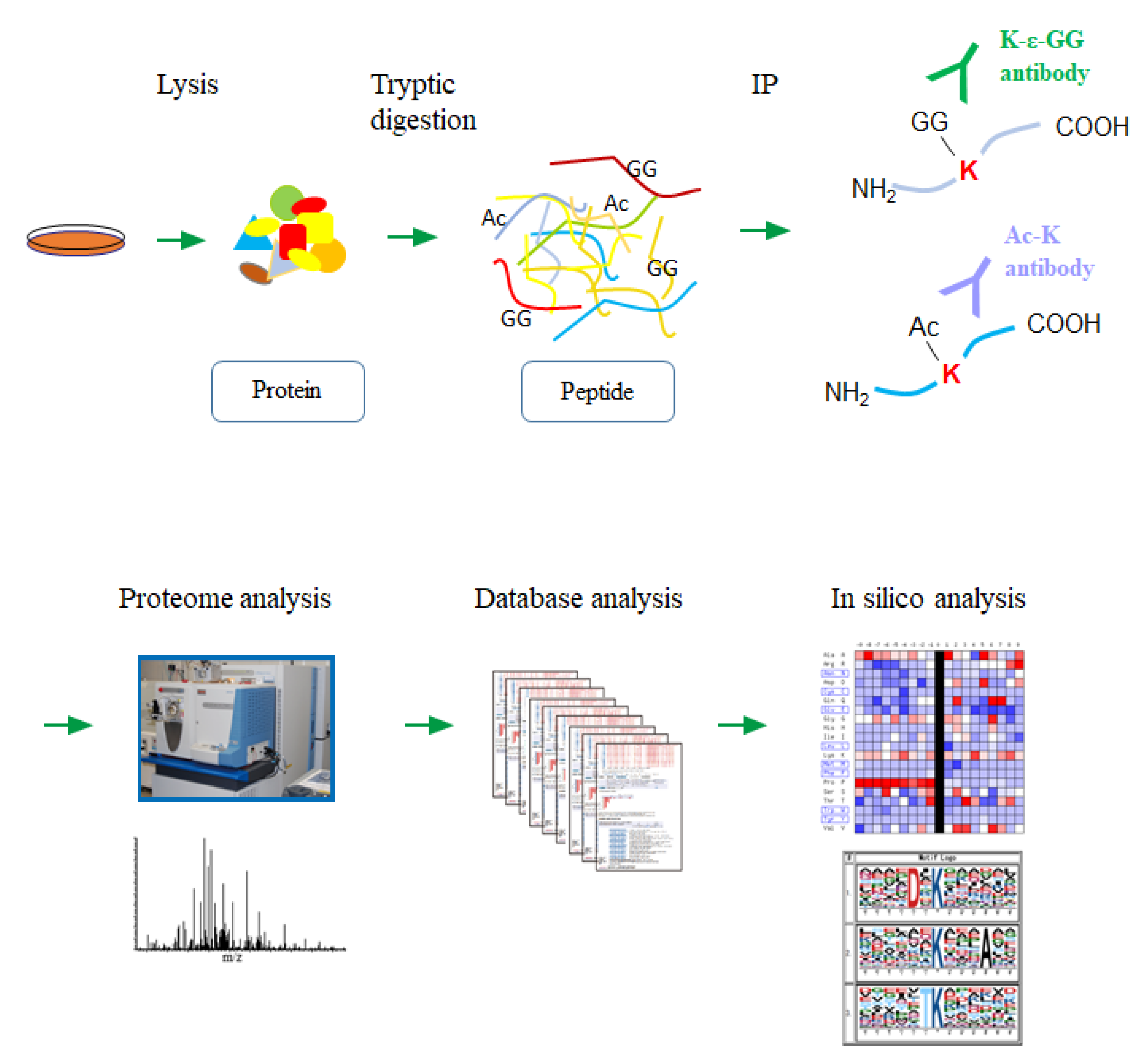 Biomolecules 10 00411 g001
