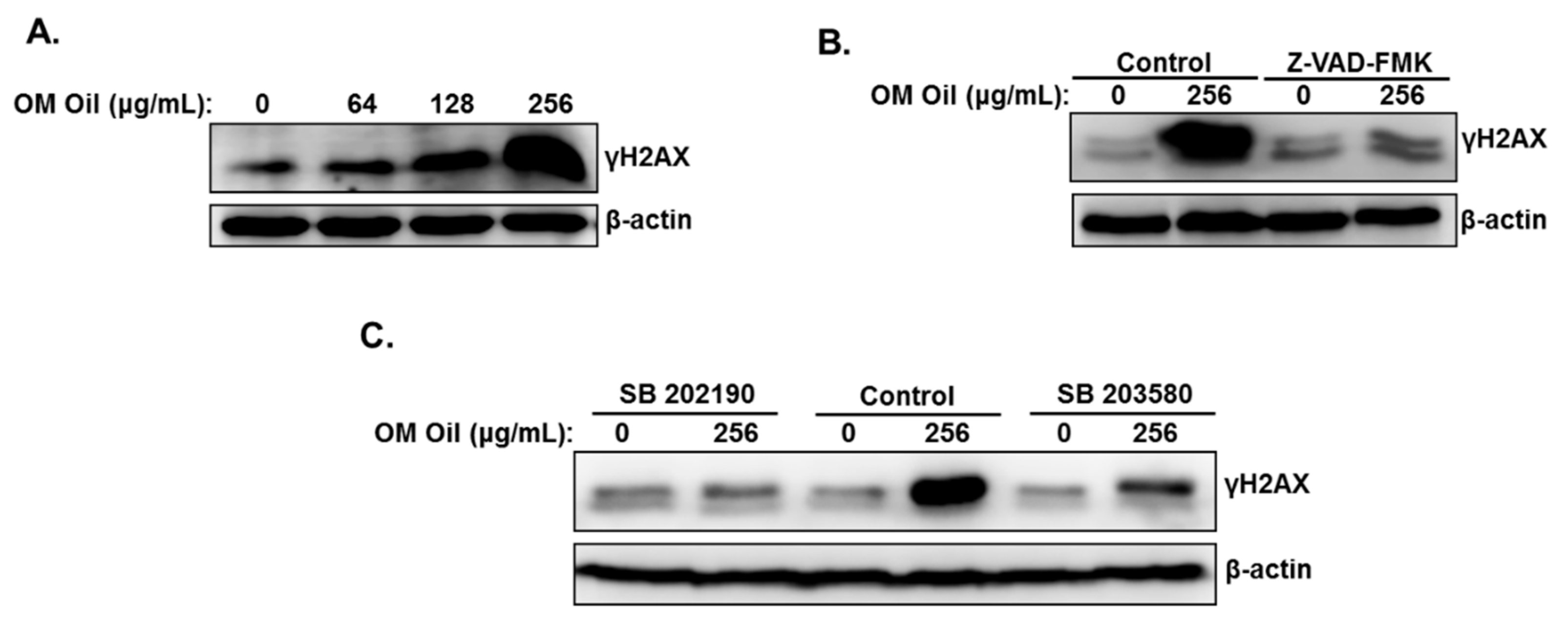 Biomolecules 10 00412 g009