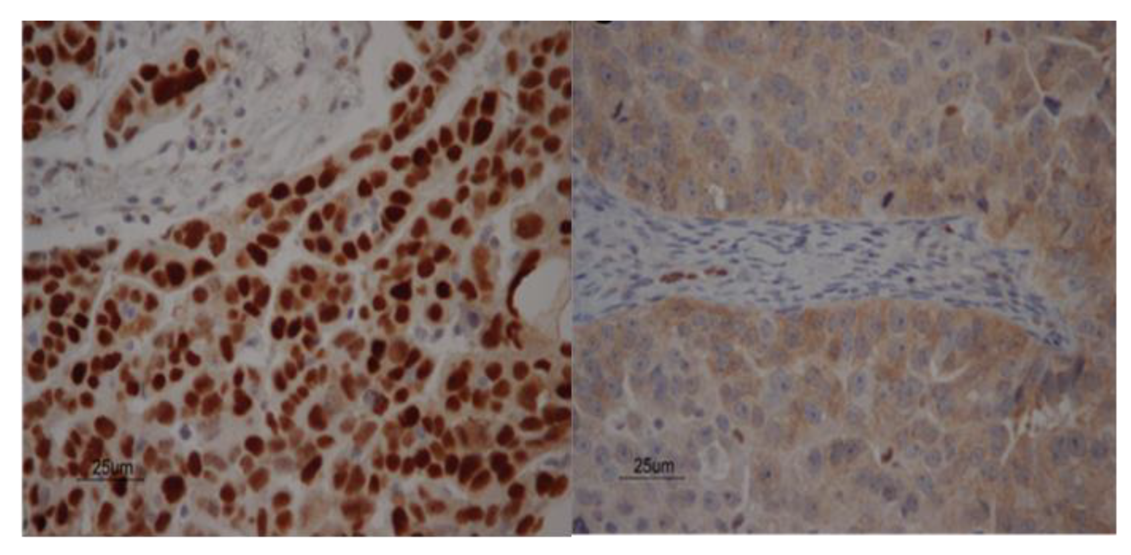 Biomolecules 10 00415 g001 Biomolecules 10 00415 g001