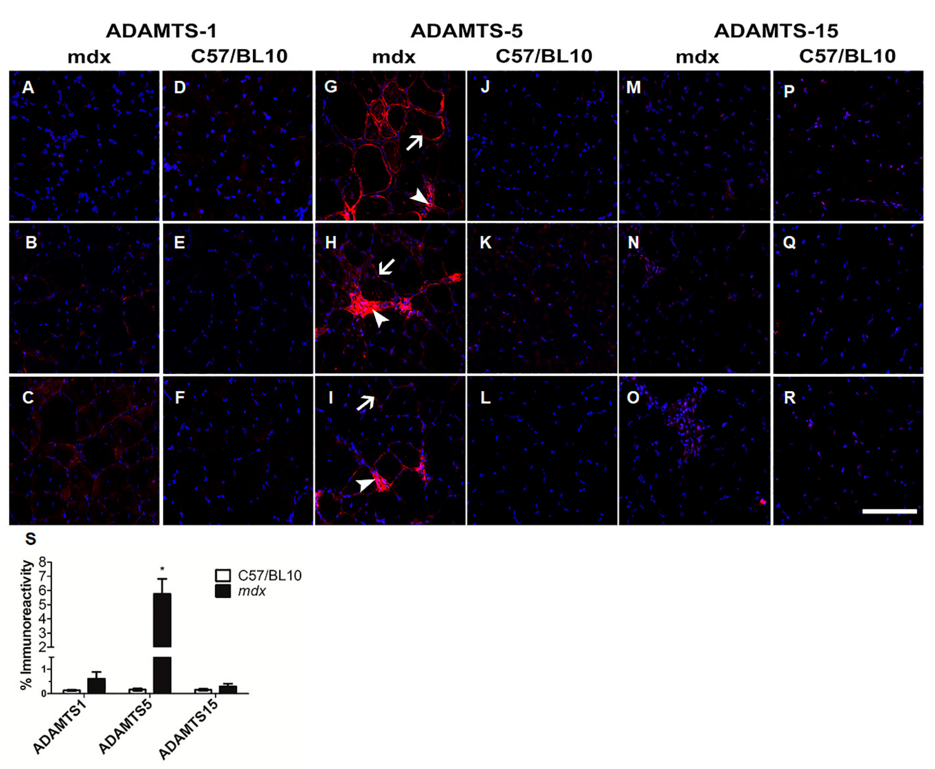Biomolecules 10 00416 g001