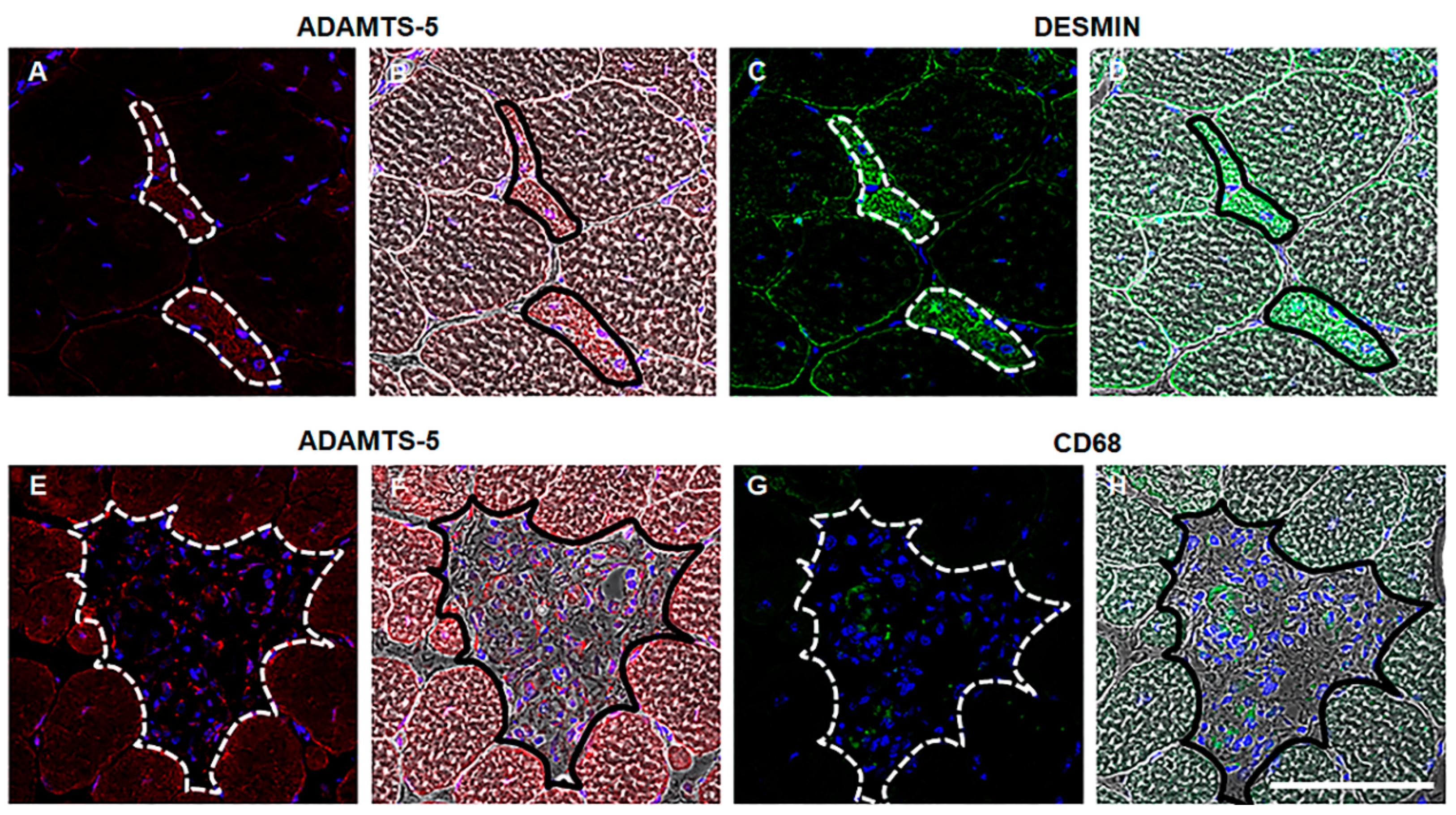 Biomolecules 10 00416 g002