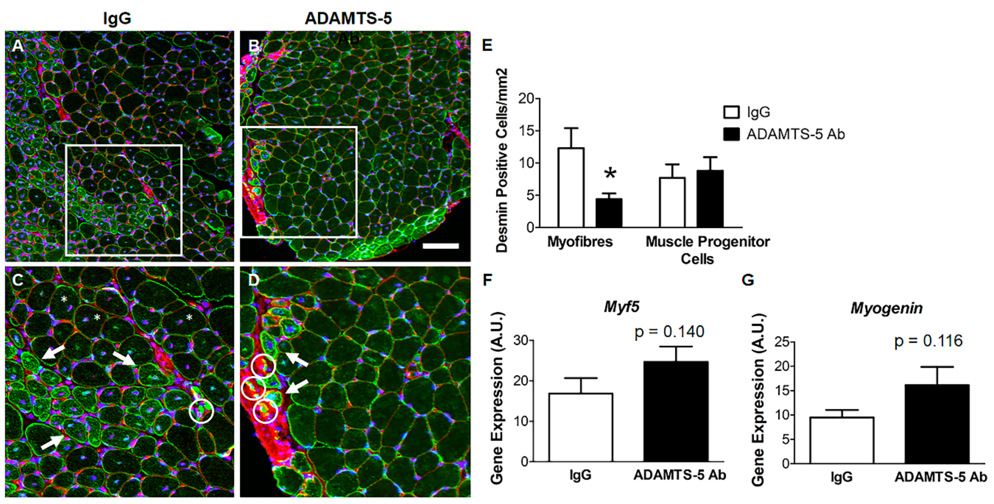 Biomolecules 10 00416 g007