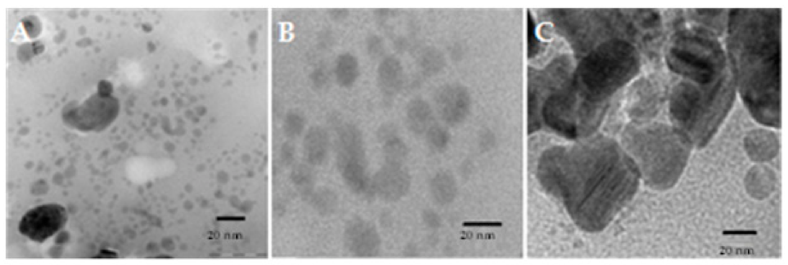 Biomolecules 10 00425 g005 Biomolecules 10 00425 g005
