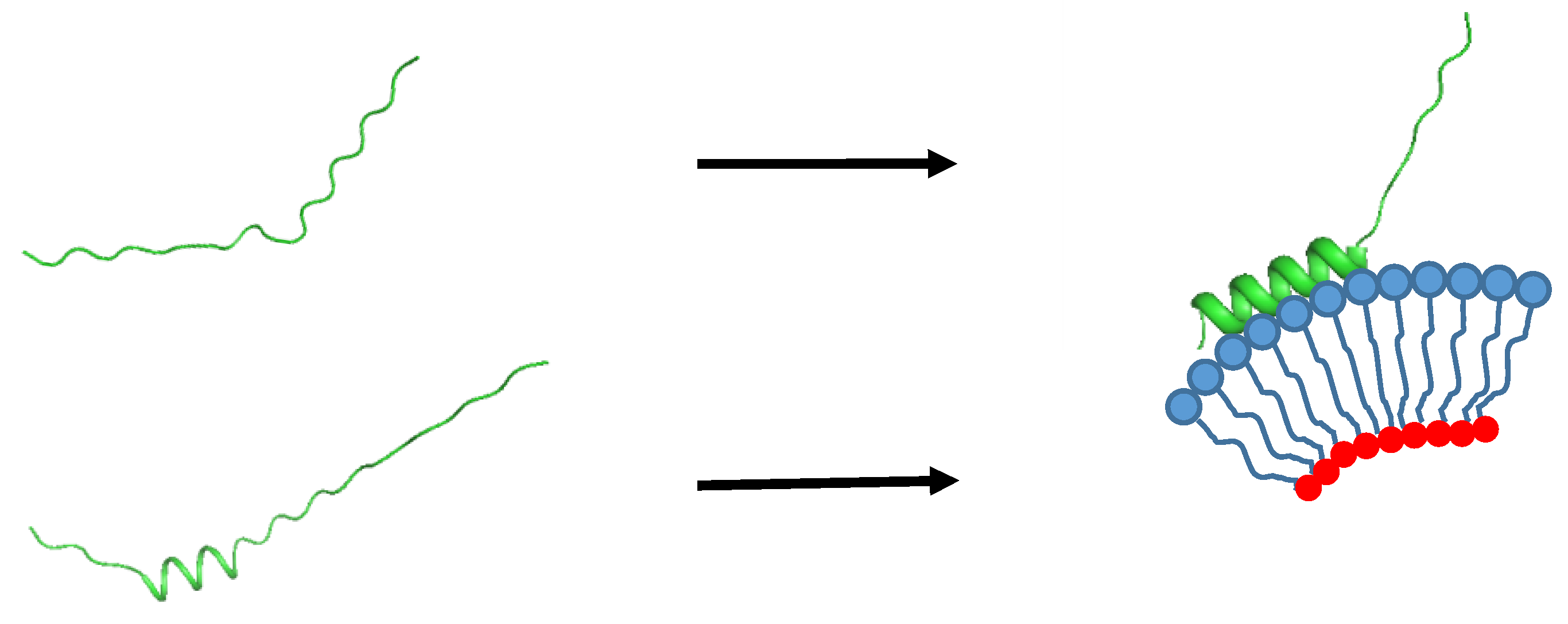 Biomolecules 10 00428 g002
