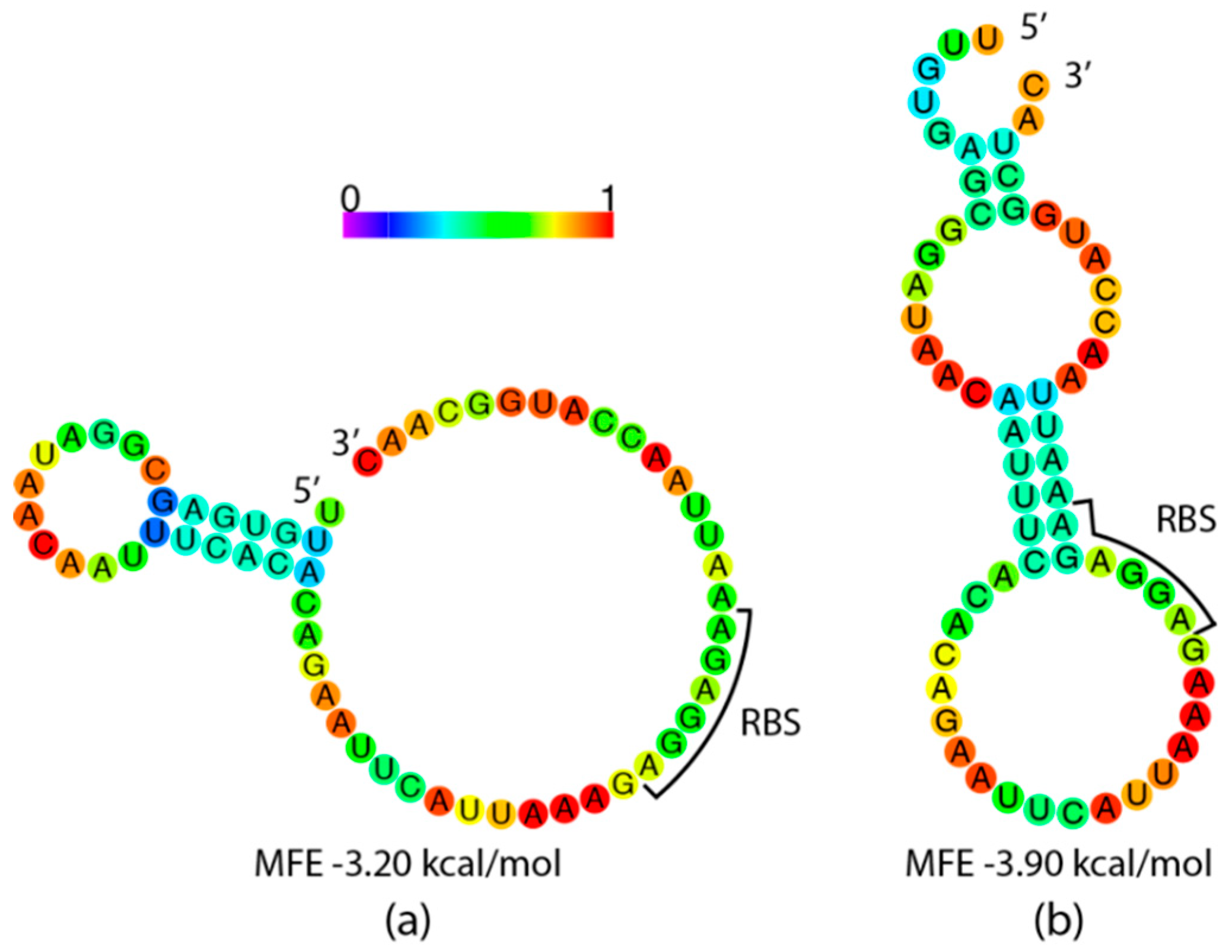 Biomolecules 10 00430 g005