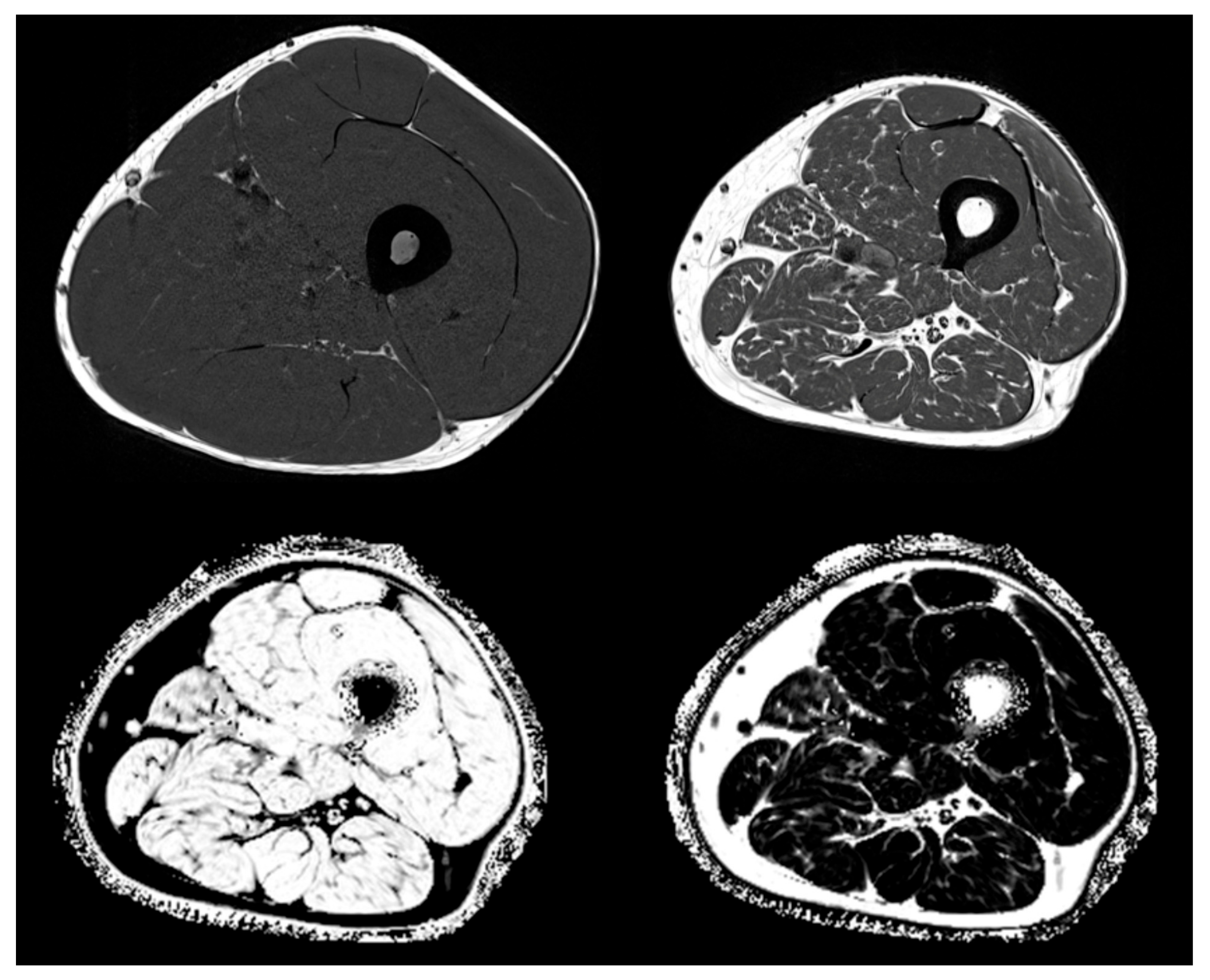 Biomolecules 10 00432 g003 Biomolecules 10 00432 g003