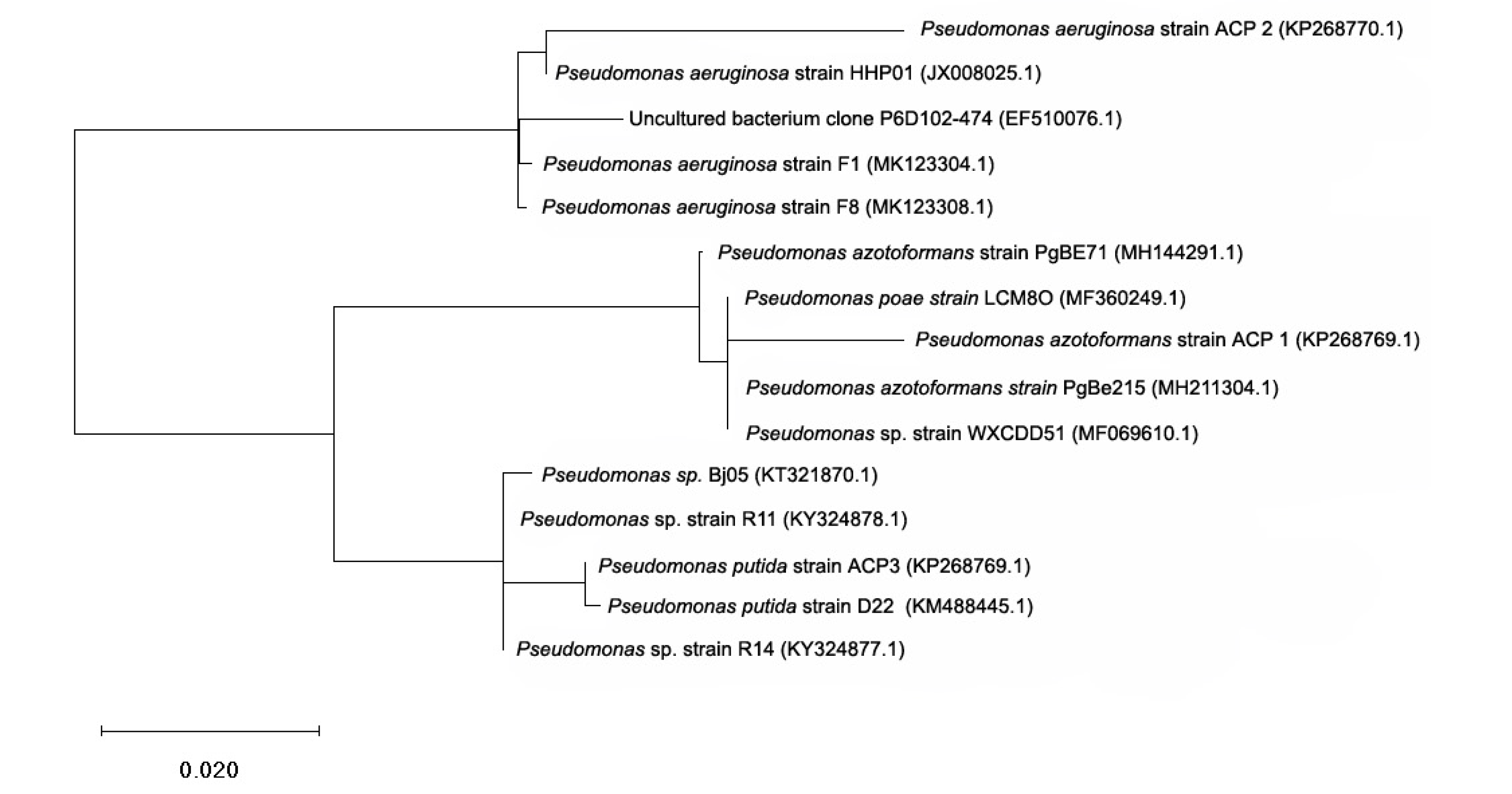 Biomolecules 10 00433 g001